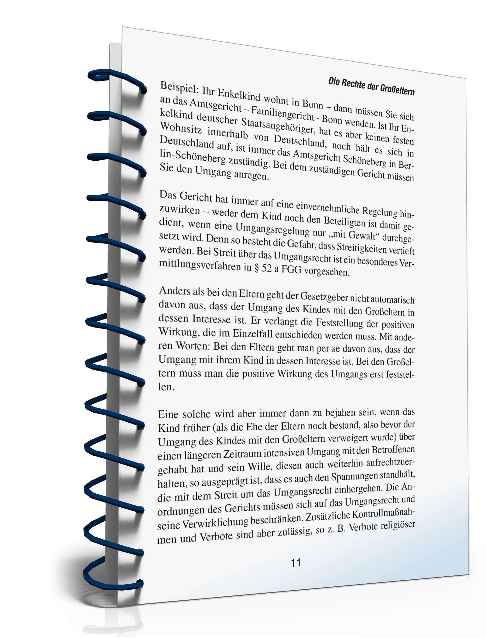 Ratgeber Recht Großeltern PDF. Seite: 10