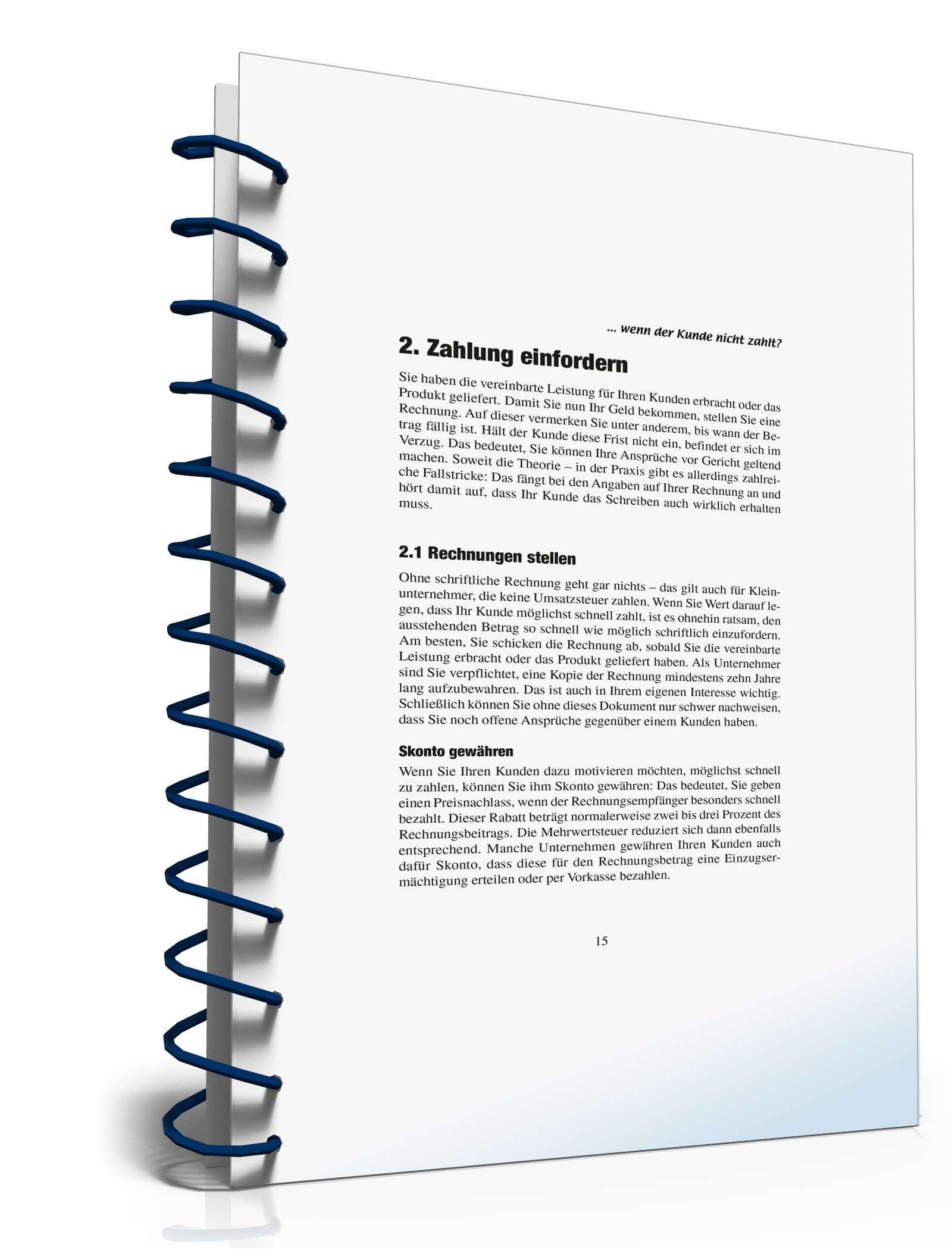 Ratgeber zahlungsunwilliger Kunde PDF. Seite: 15