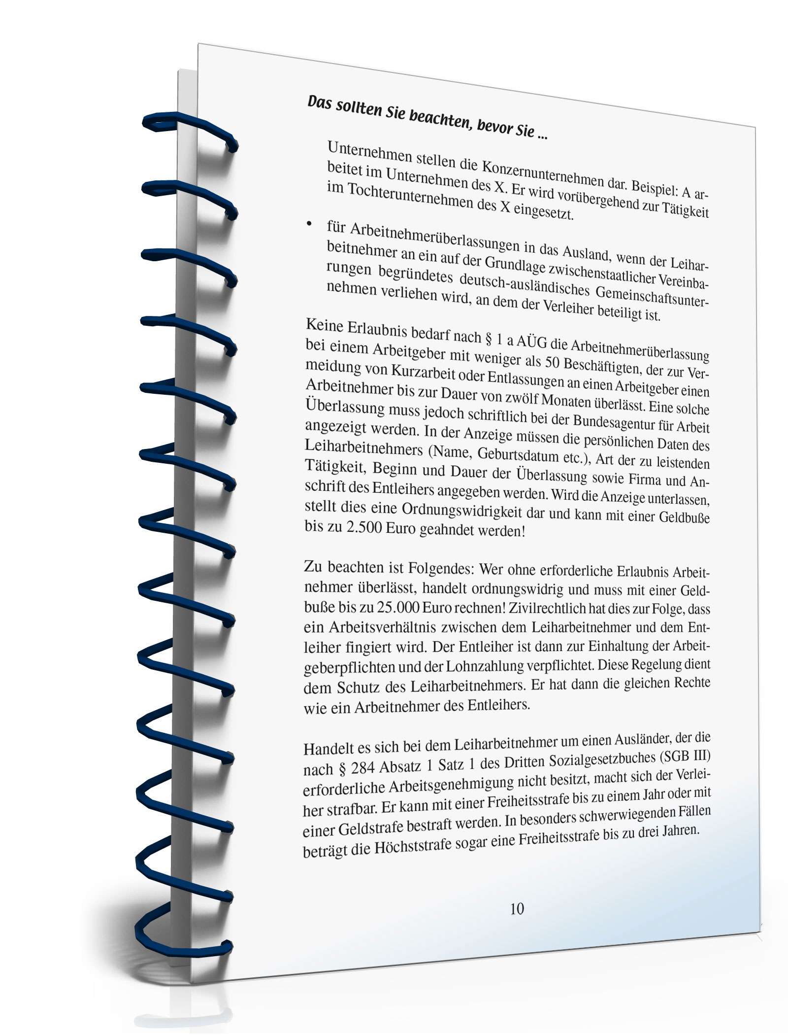 Abschluss Zeitarbeitsvertrag  PDF. Seite: 9