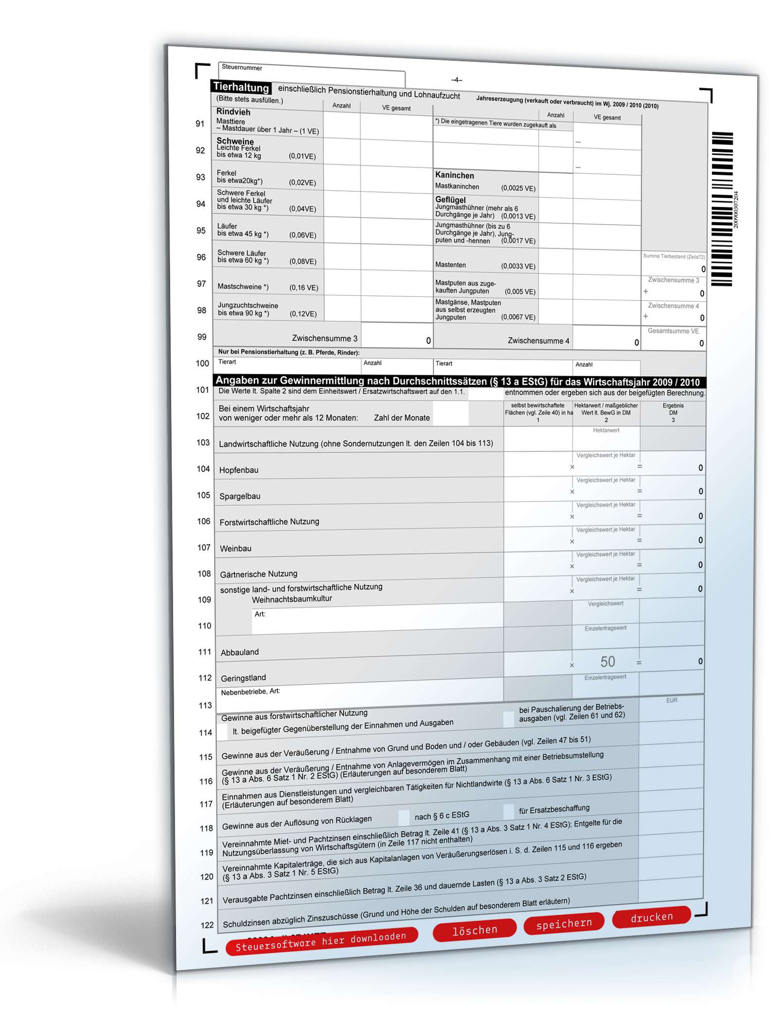 Anlage L 2009 PDF. Seite: 4