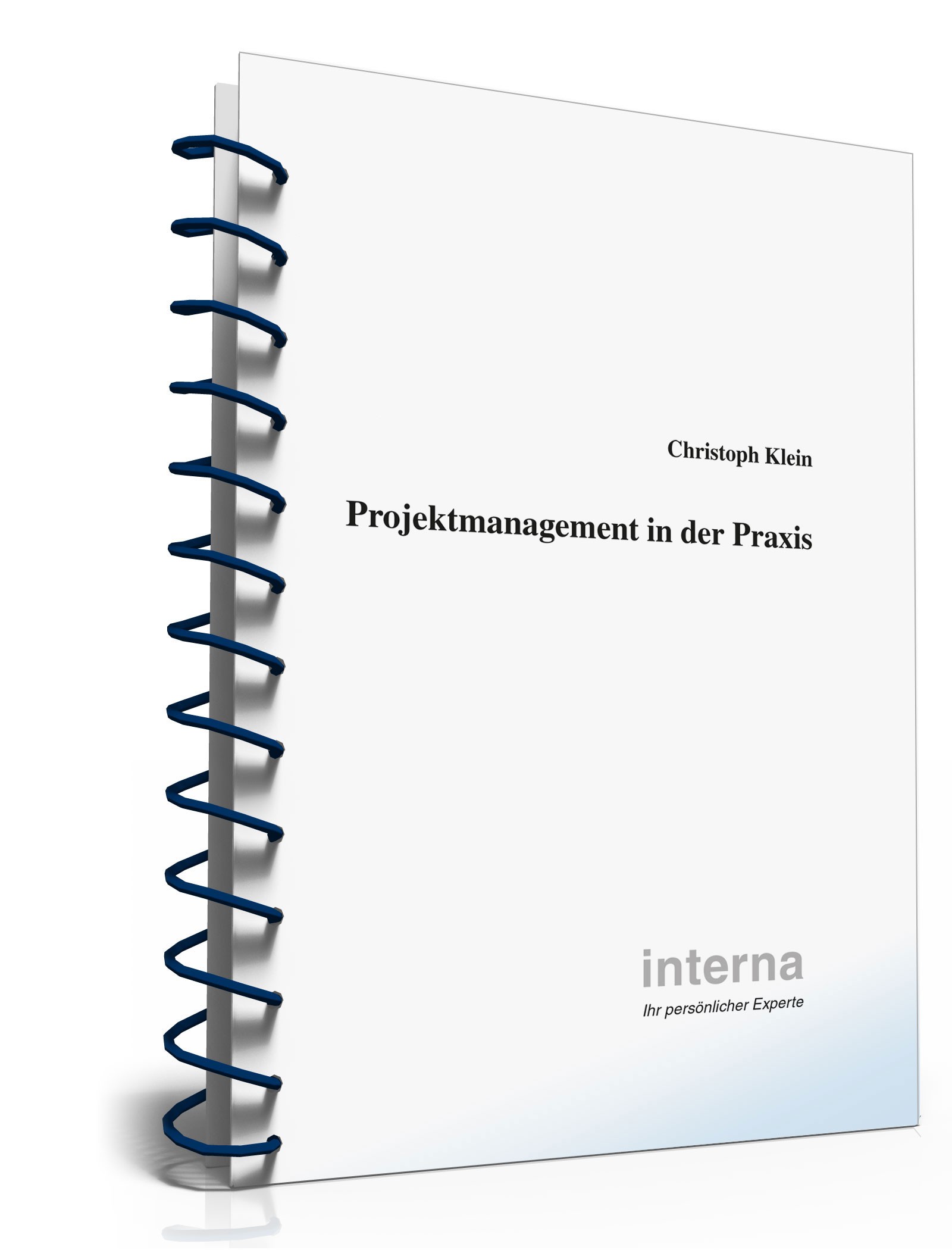 Projektmanagement in der Praxis PDF. Seite: 3