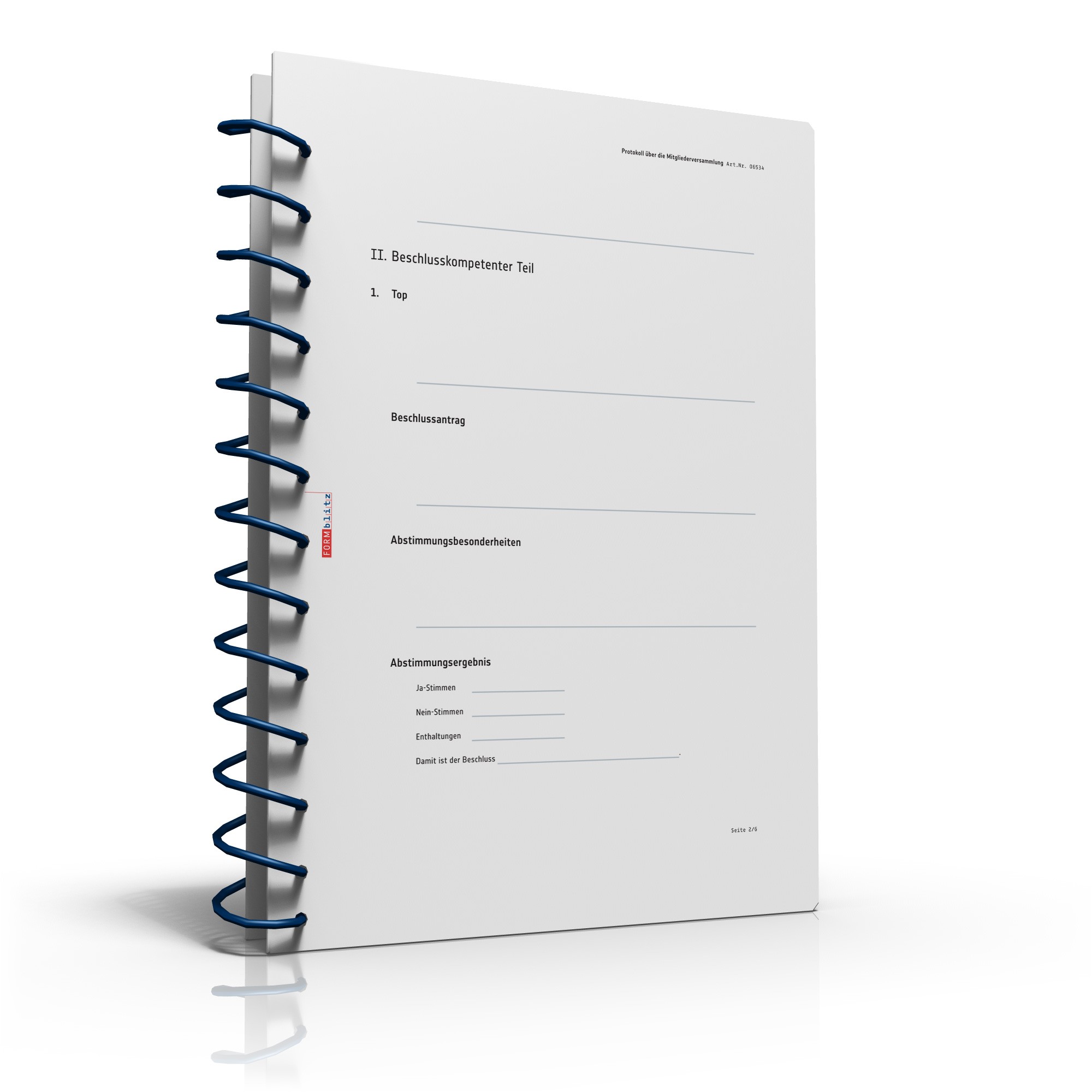 Protokoll Vereinsversammlung PDF. Seite: 3