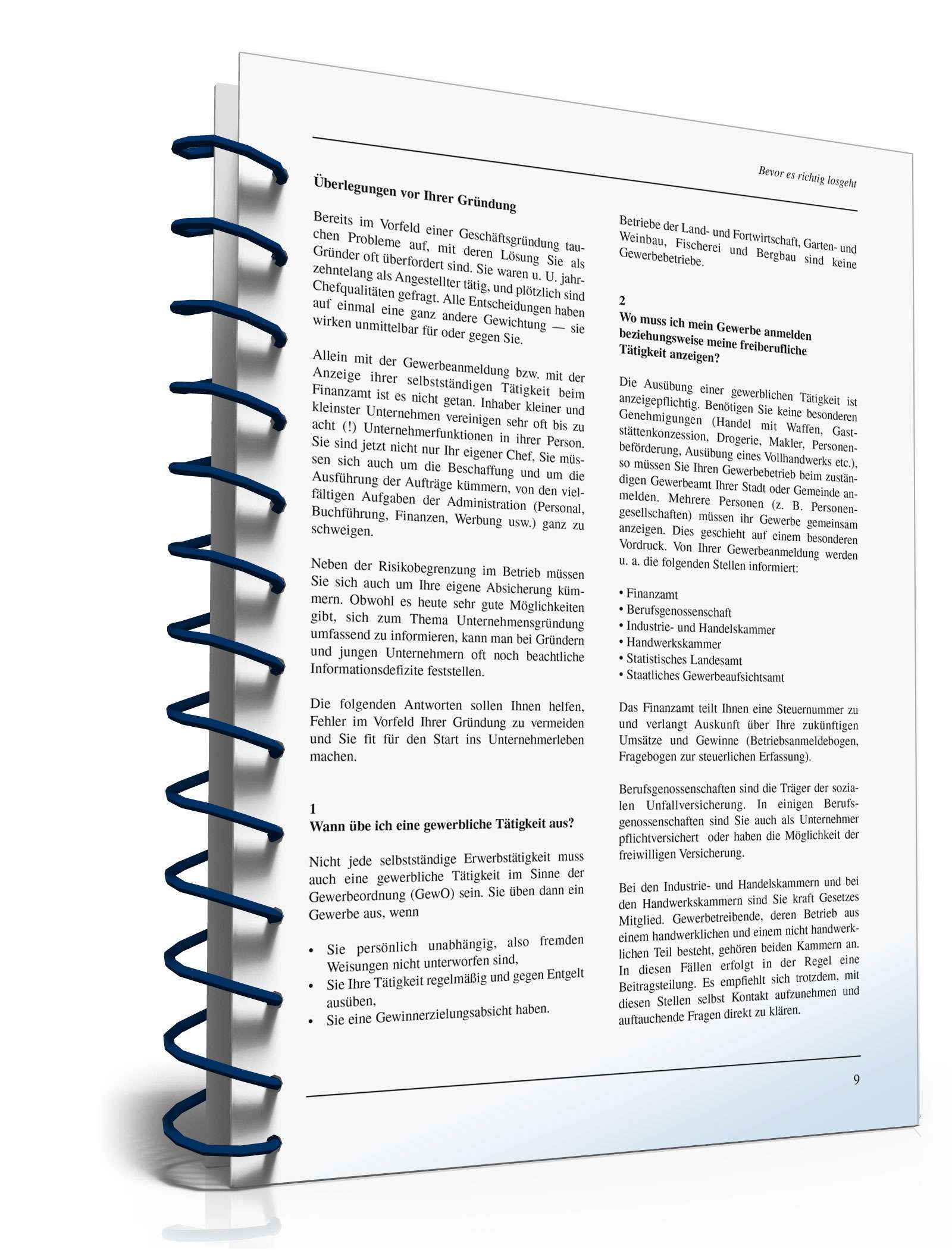 Ratgeber Unternehmensgründung PDF. Seite: 9