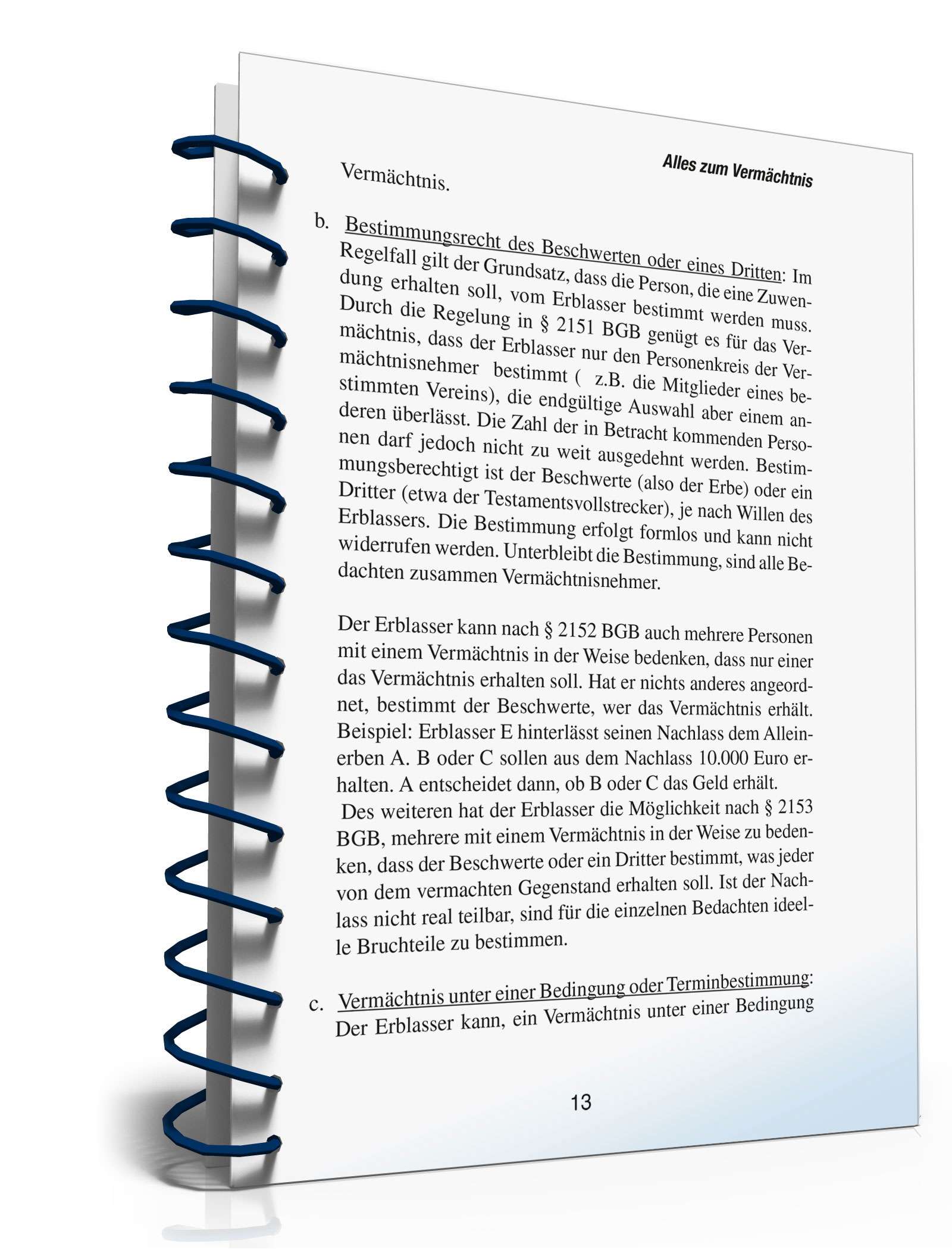 Ratgeber Vermächtnis PDF. Seite: 13