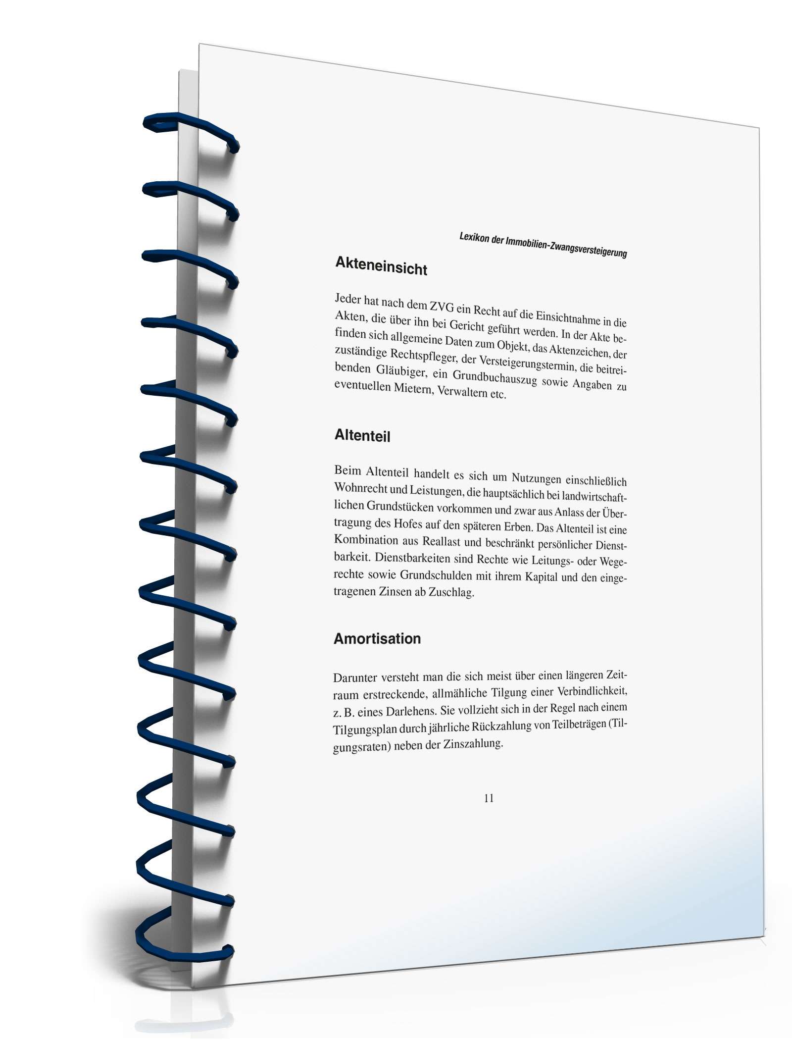 Zwangsversteigerung einer Immobilie PDF. Seite: 9