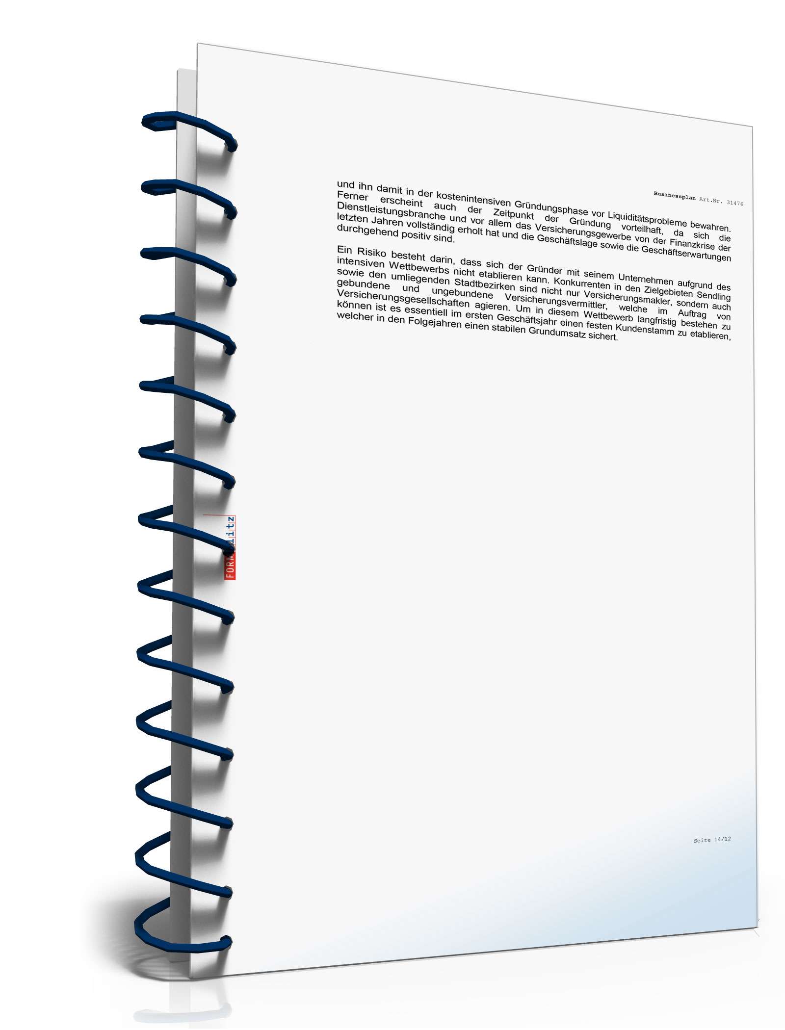 Businessplan Versicherungsmakler Excel. Seite: 16