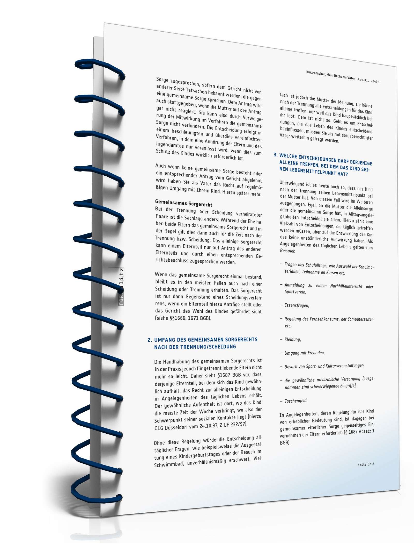 Mein Recht als Vater PDF. Seite: 3