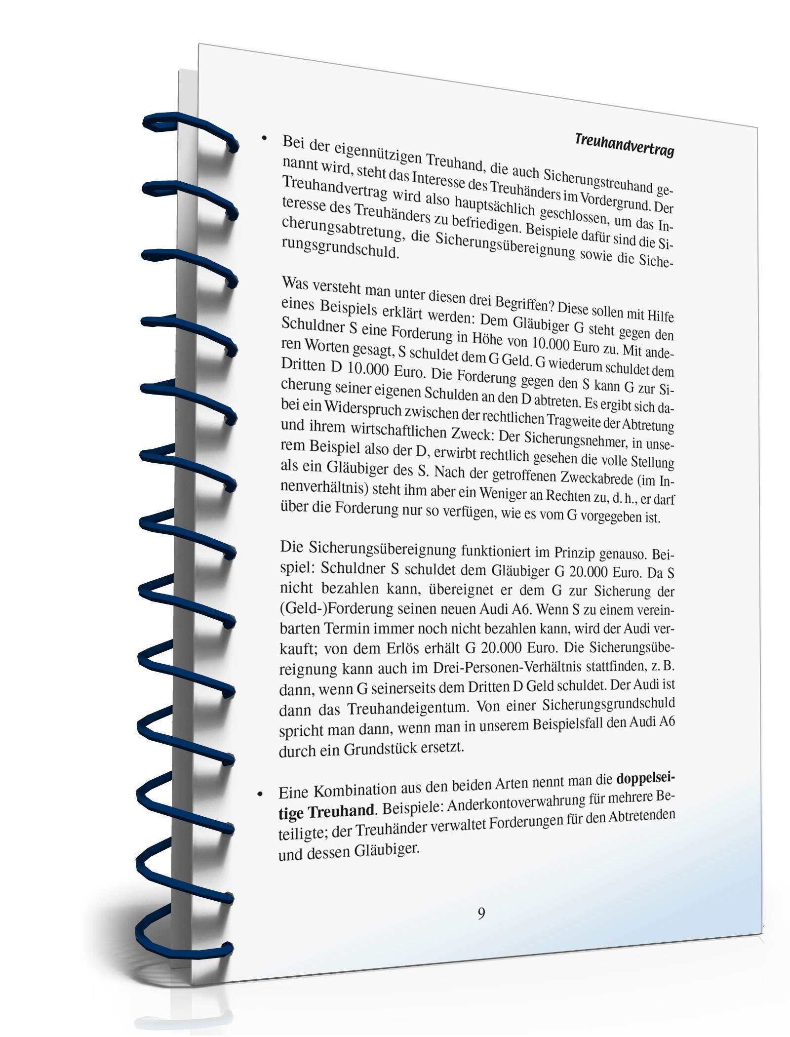 Der Treuhandvertrag PDF. Seite: 8