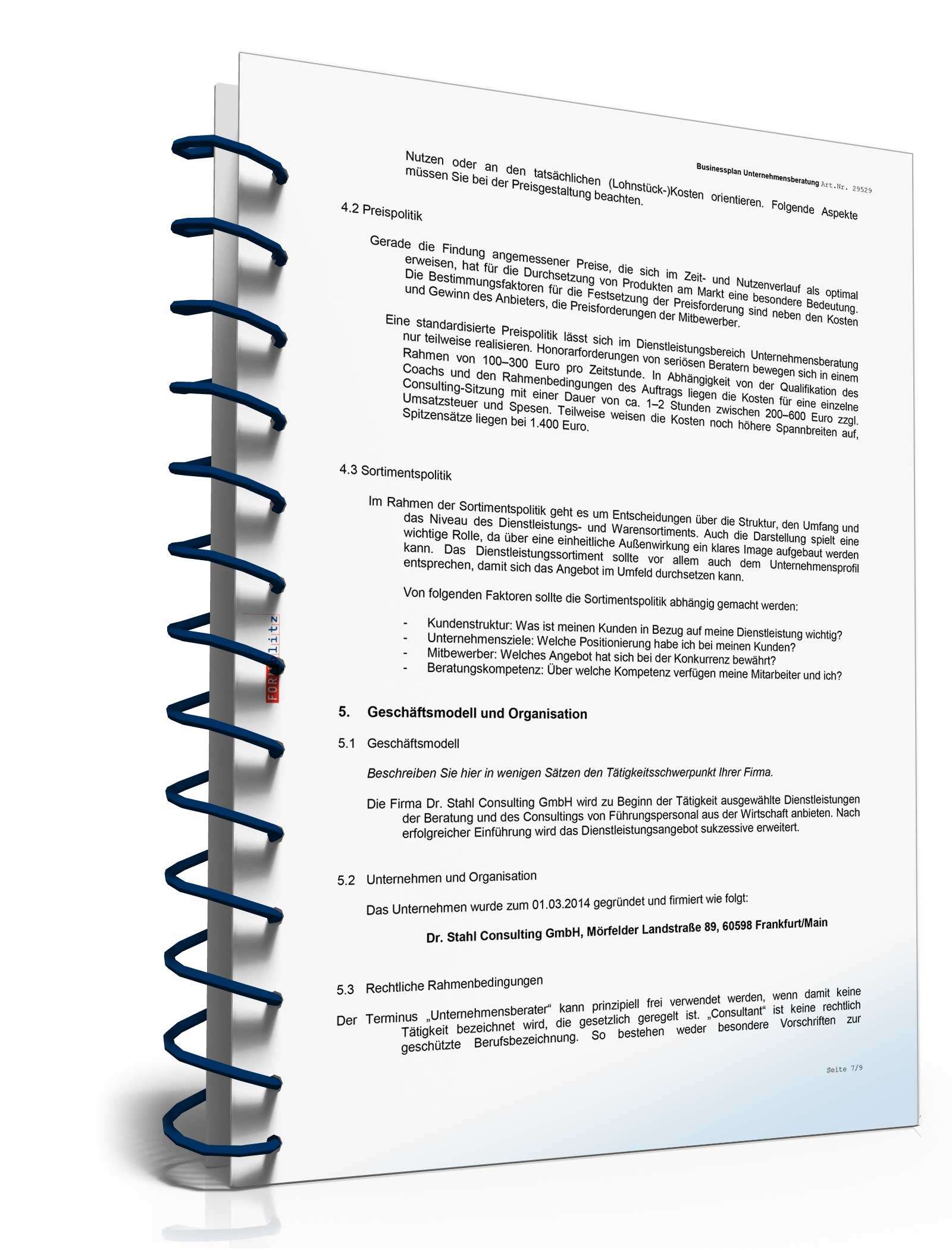 Businessplan Unternehmensberatung Excel. Seite: 12