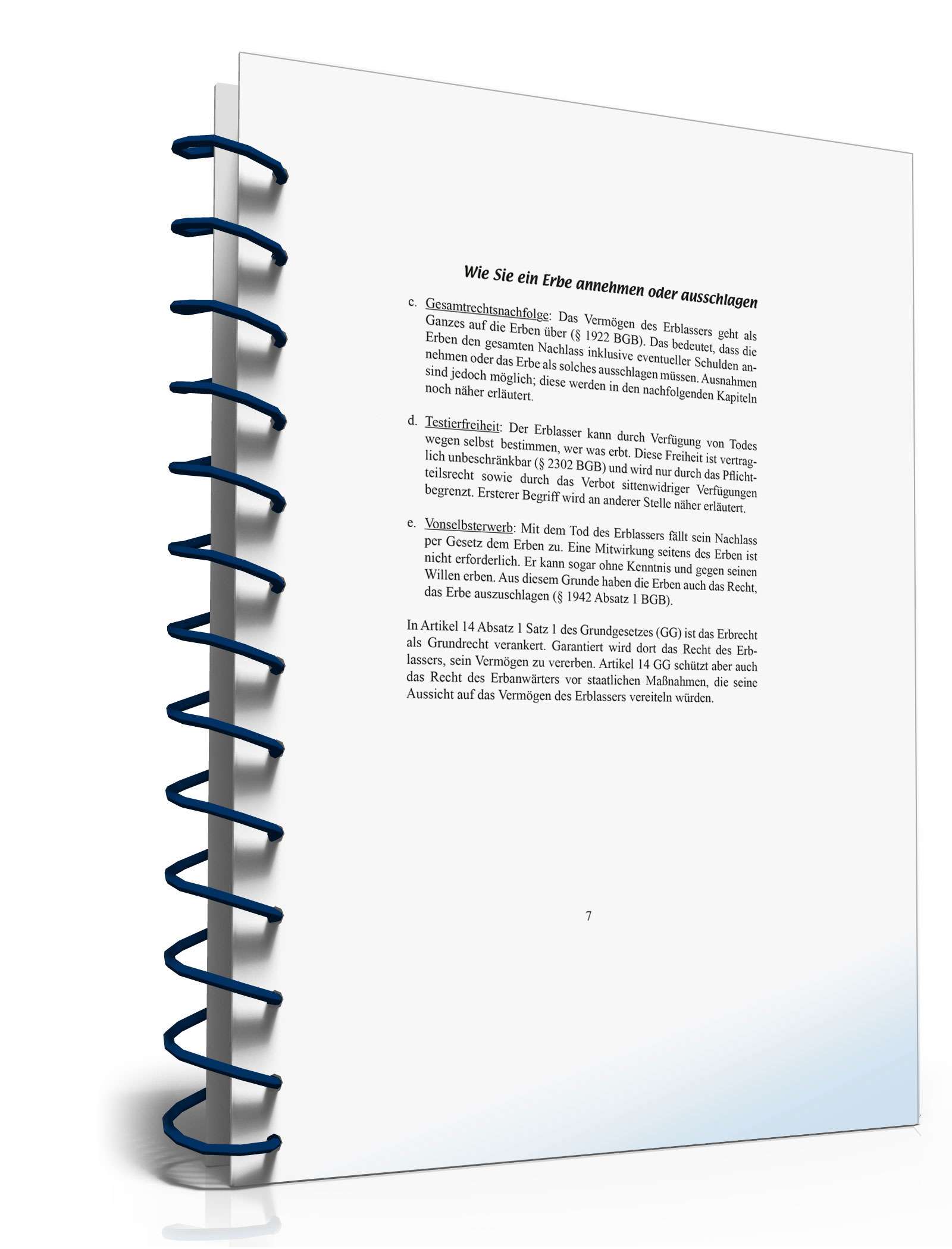 Ratgeber Annehmen/Ausschlagen Erbe  PDF. Seite: 7