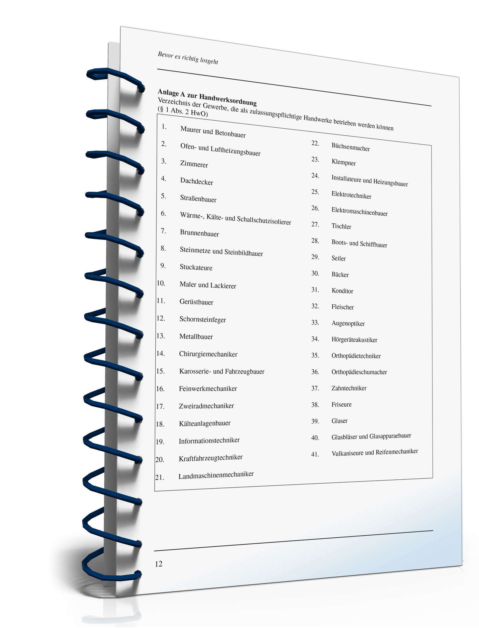 Ratgeber Unternehmensgründung PDF. Seite: 12