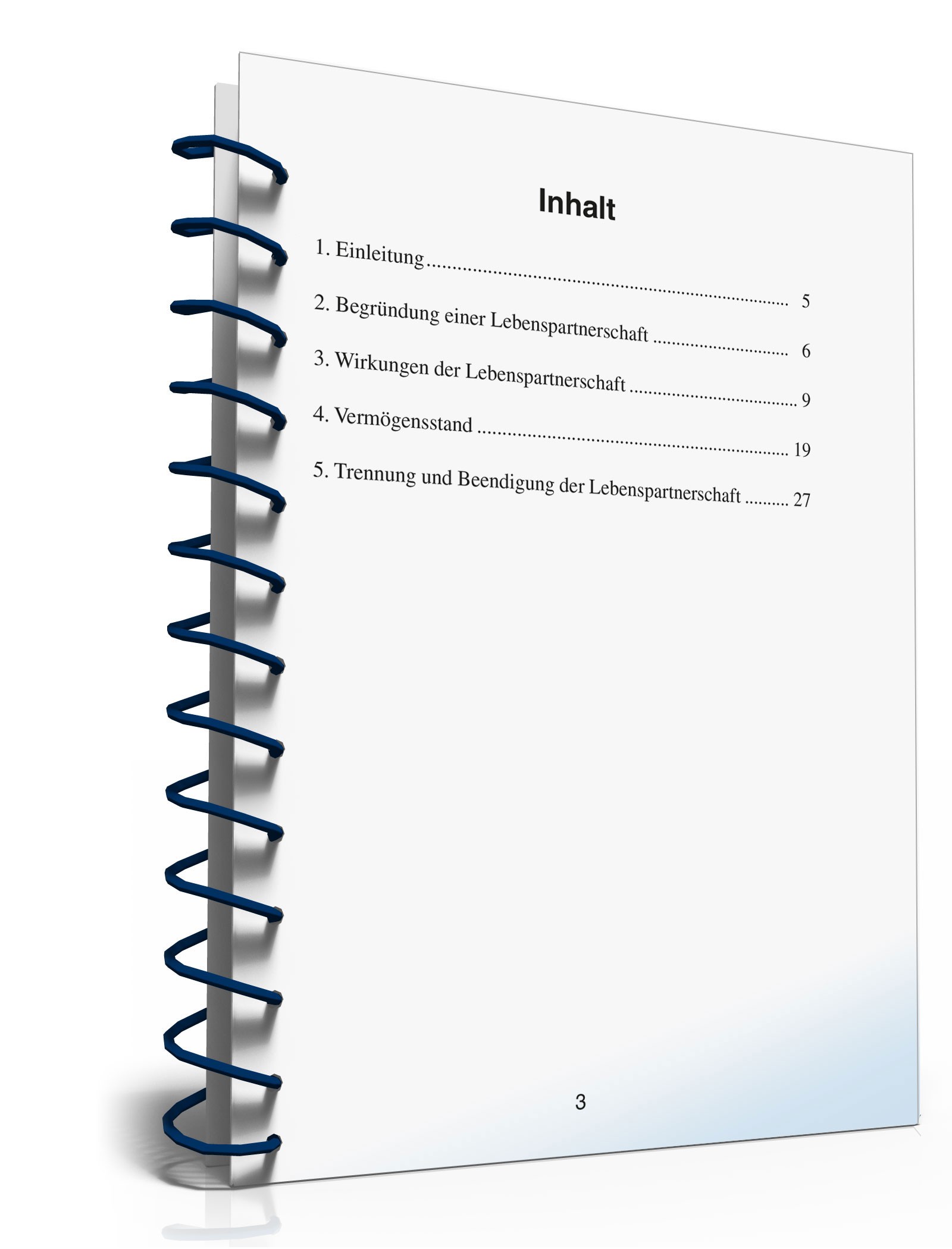 Ratgeber gleichgeschlechtliche Lebenspartnerschaft PDF. Seite: 3