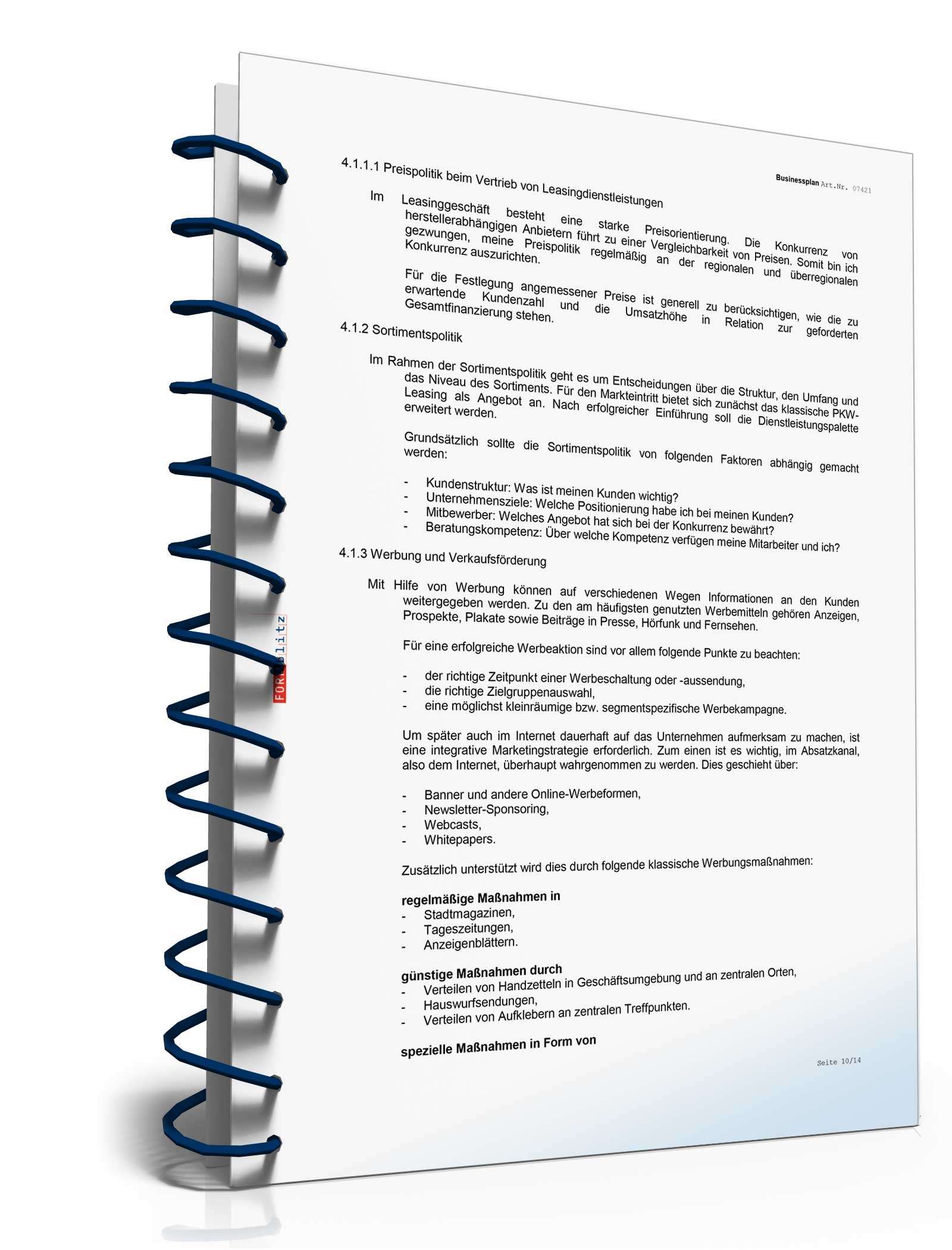 Businessplan für ein Leasingunternehmen Excel. Seite: 13