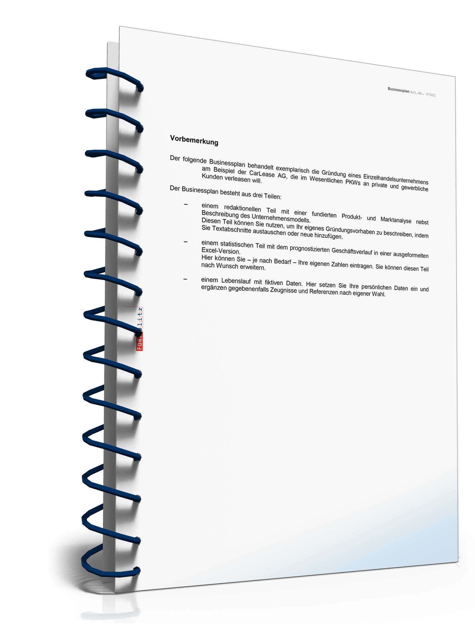 Businessplan für ein Leasingunternehmen Excel. Seite: 3