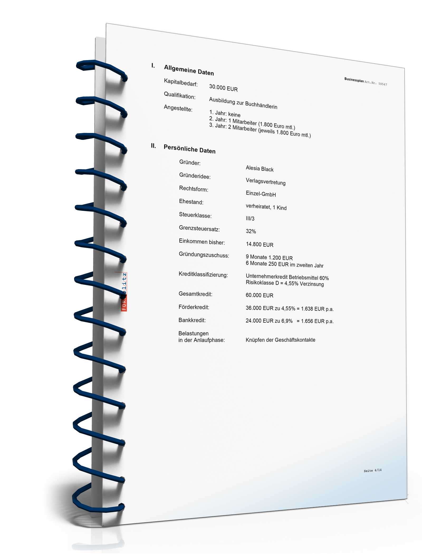 Businessplan Verlagsvertretung Excel. Seite: 3