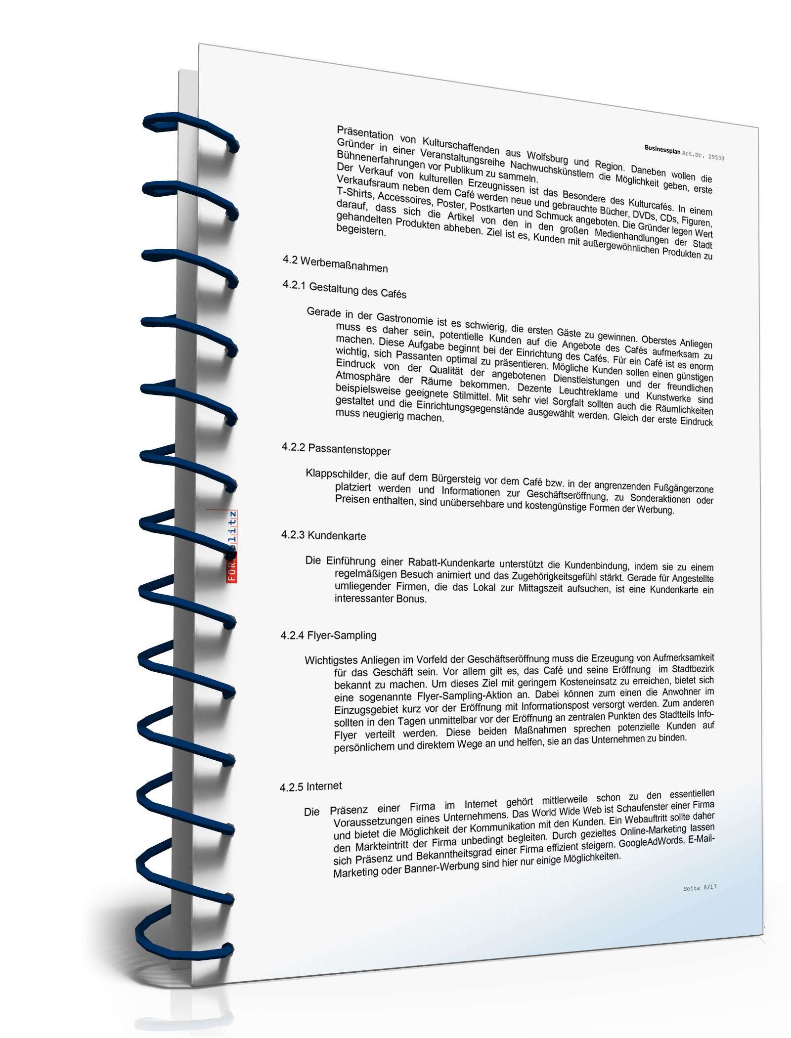 Businessplan Kulturcafé Excel. Seite: 13