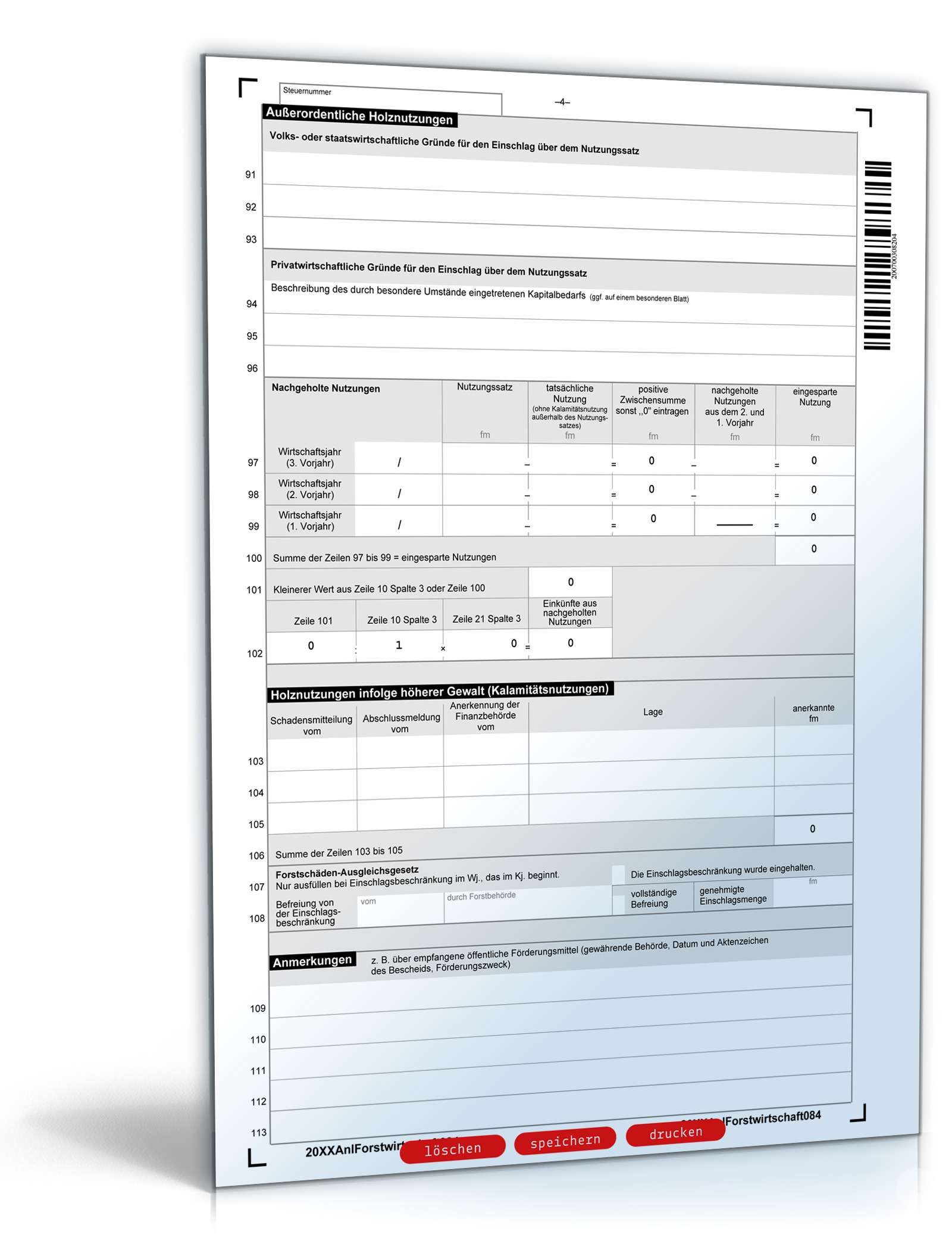 Anlage Forstwirtschaft 2008 PDF. Seite: 4