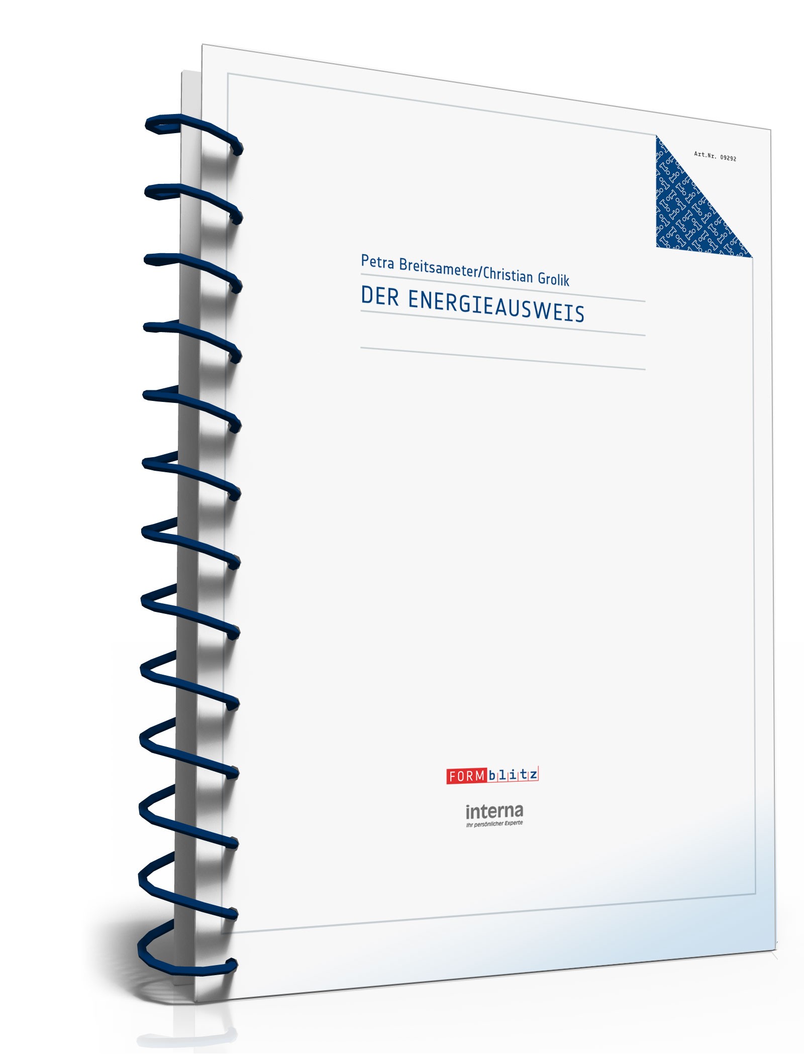 Ratgeber Energieausweis PDF