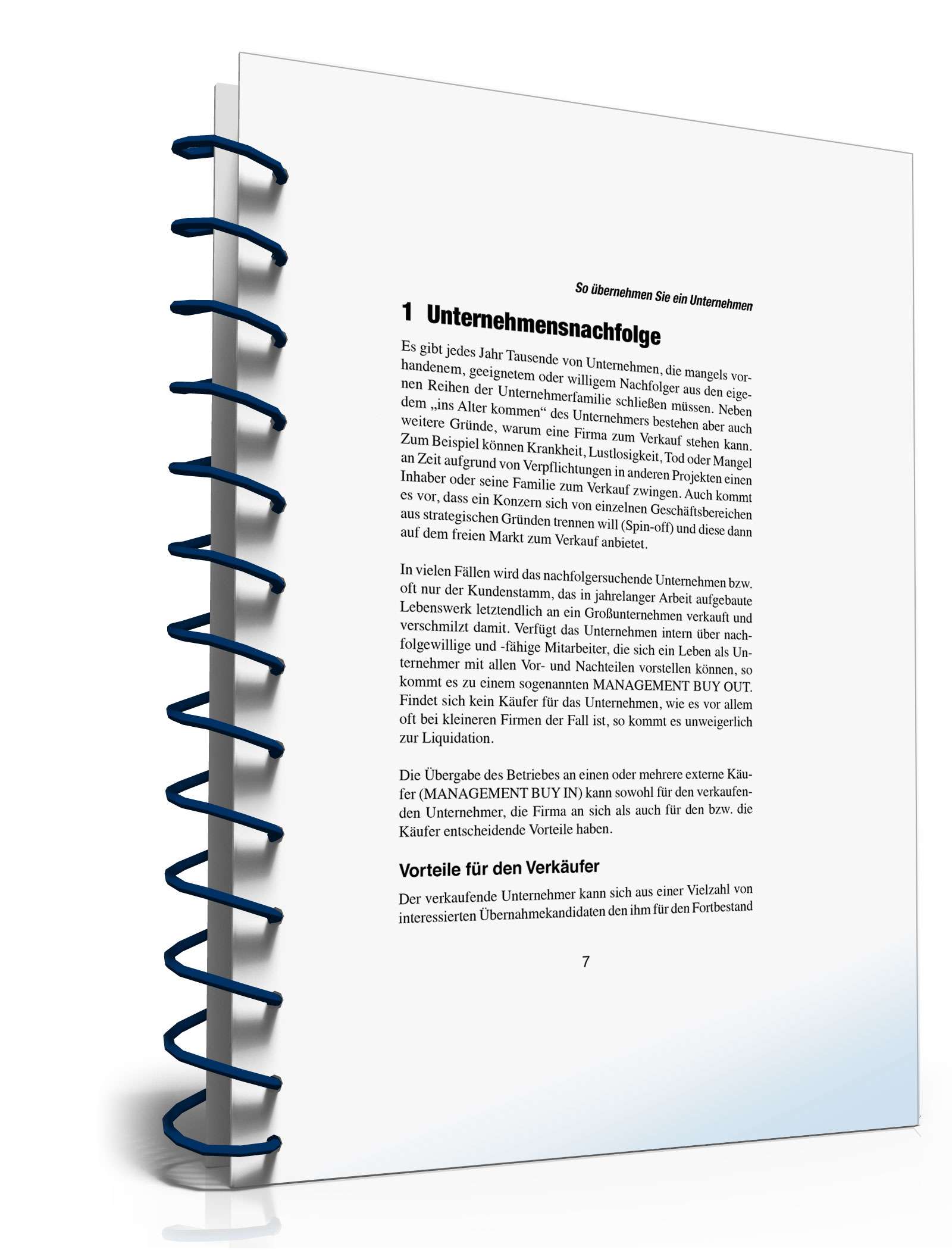 Unternehmensnachfolge PDF. Seite: 6