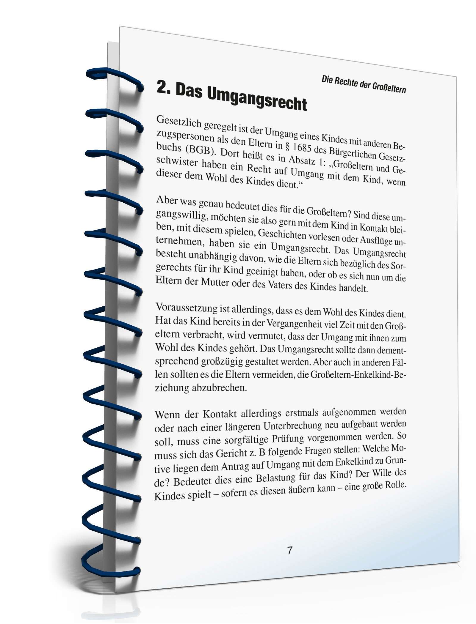 Ratgeber Recht Großeltern PDF. Seite: 6