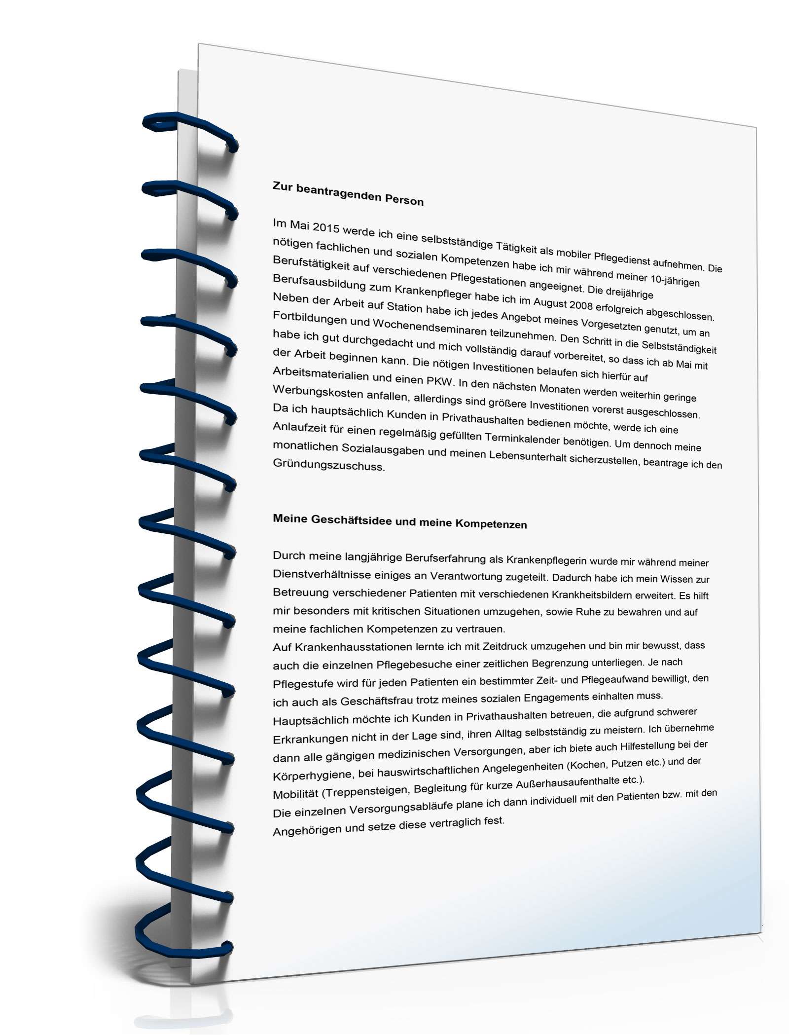 Businessplan mobile Pflege  Excel. Seite: 2