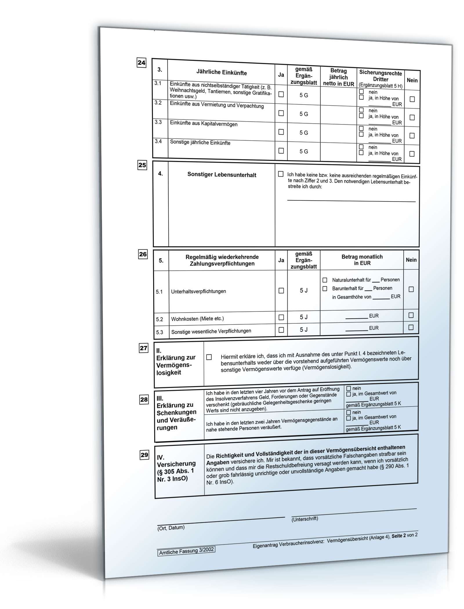 Vordrucke für das Verbraucherinsolvenzverfahren Excel. Seite: 9