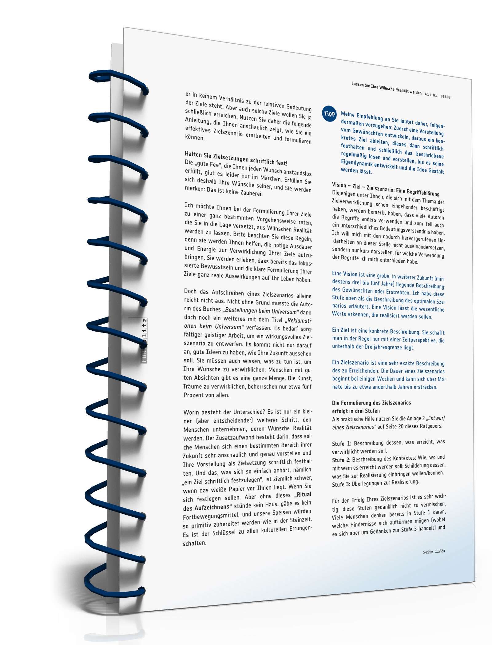 Ratgeber Verwirklichung Ziele PDF. Seite: 12