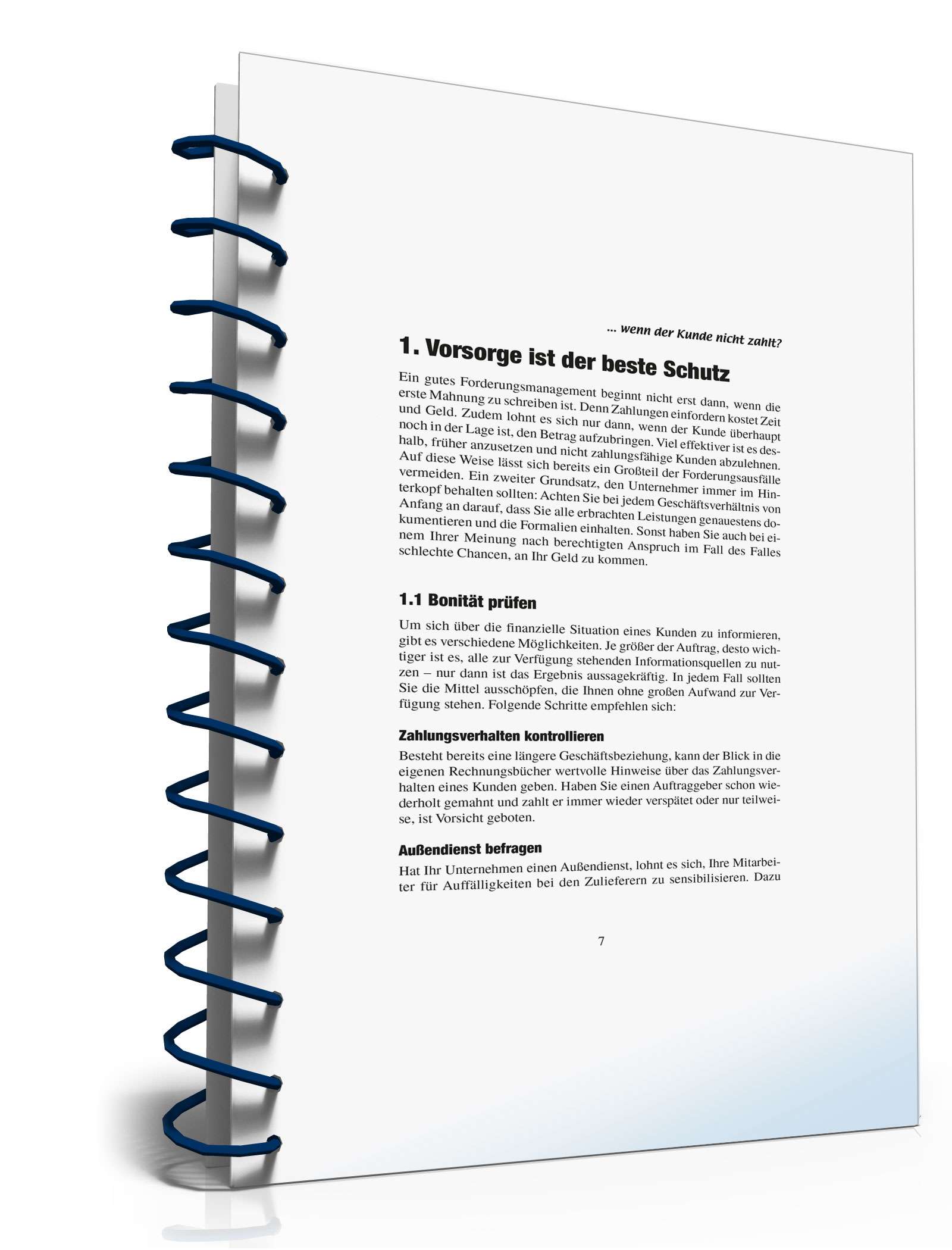 Ratgeber zahlungsunwilliger Kunde PDF. Seite: 7