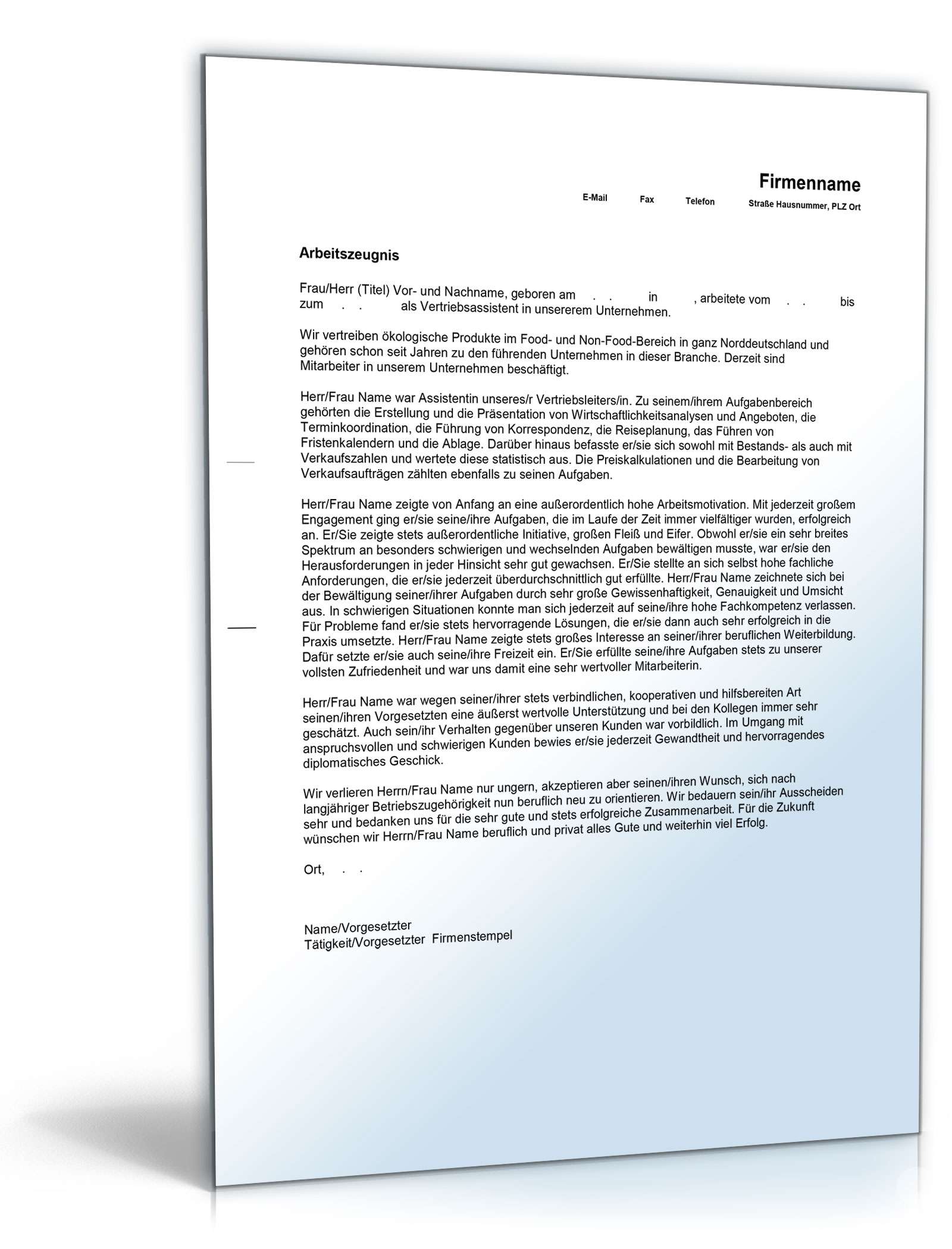 Arbeitszeugnis Vertriebsassistent Excel. Seite: 4