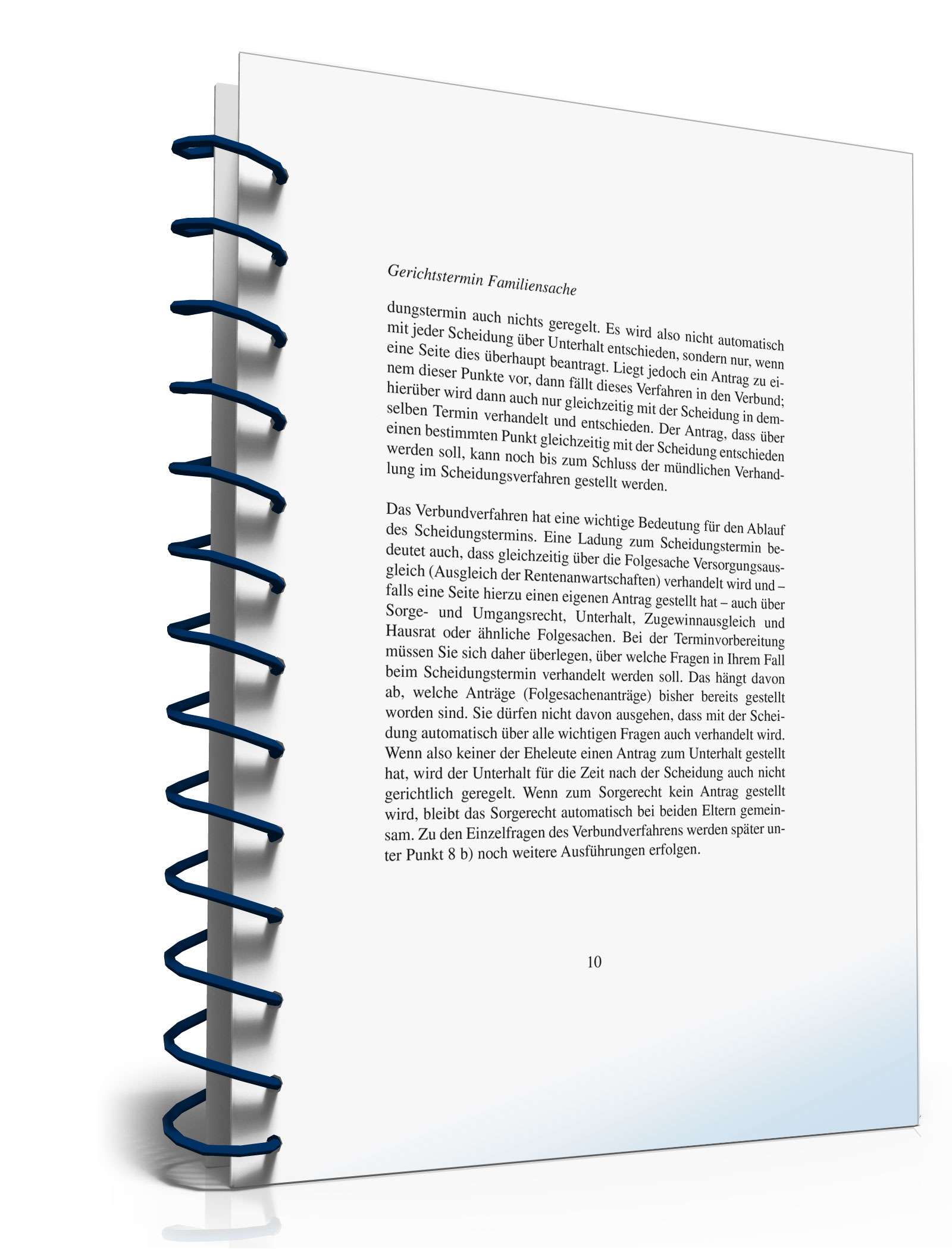 Ratgeber Gerichtstermin Familiensache PDF. Seite: 10