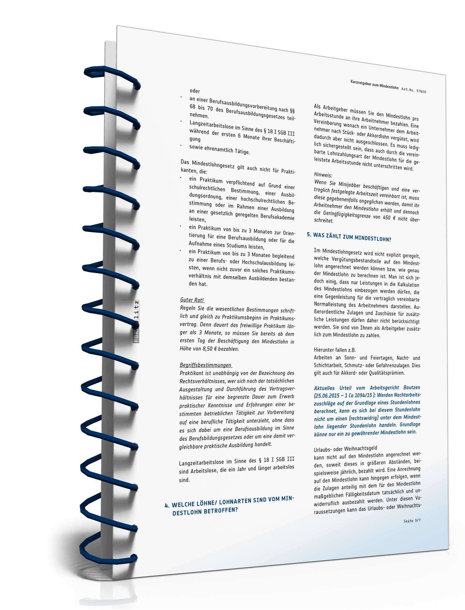 Die wichtigsten Erläuterungen zum MiLoG PDF. Seite: 4