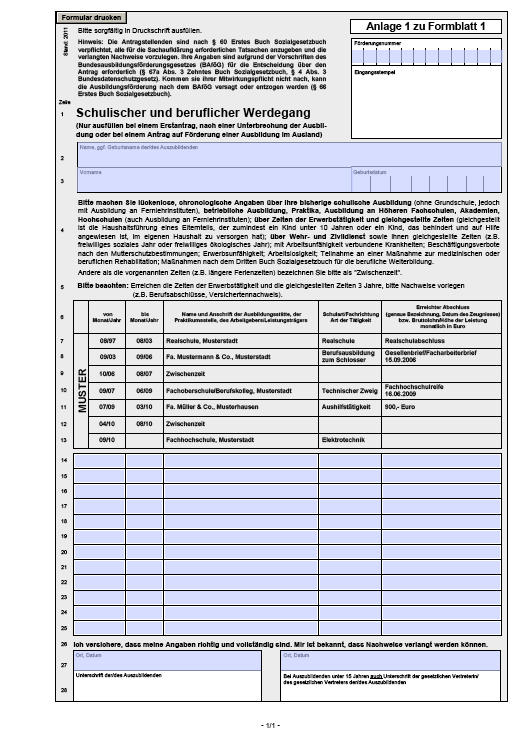 Schulischer und beruflicher Werdegang PDF. Seite: 2