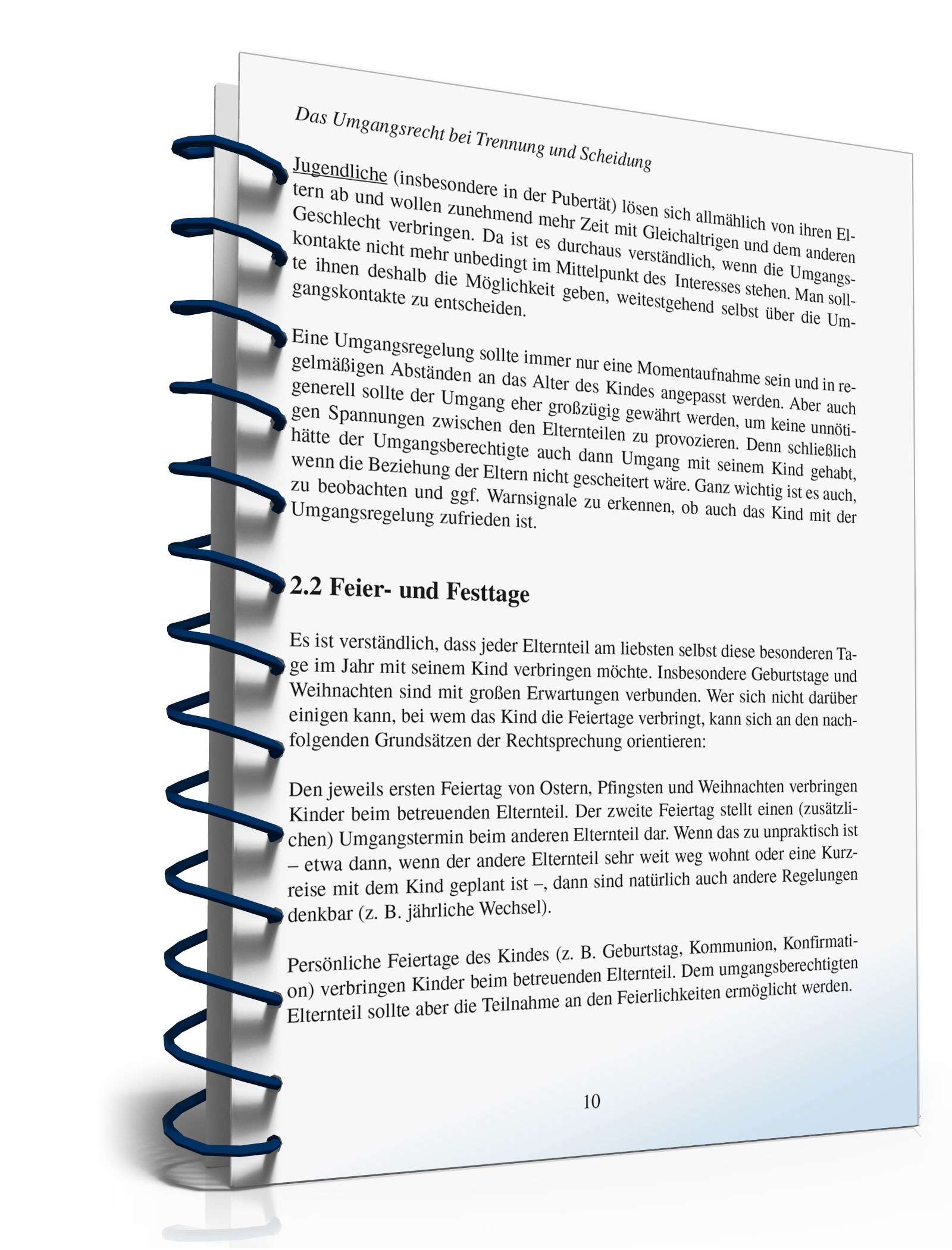 Ratgeber Umgangsrecht Trennung/Scheidung PDF. Seite: 9