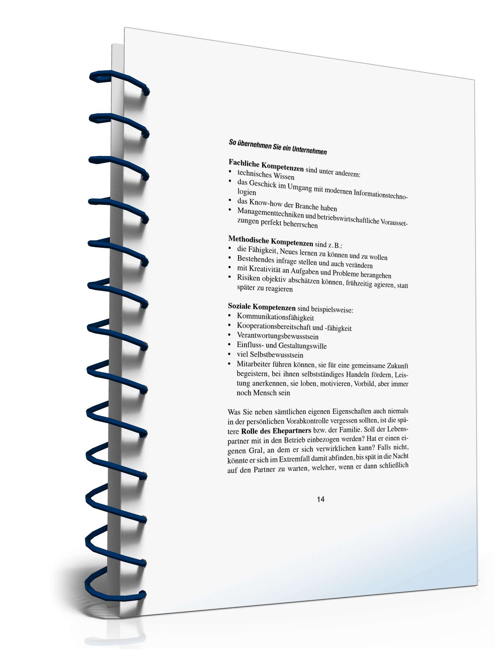 Unternehmensnachfolge PDF. Seite: 13