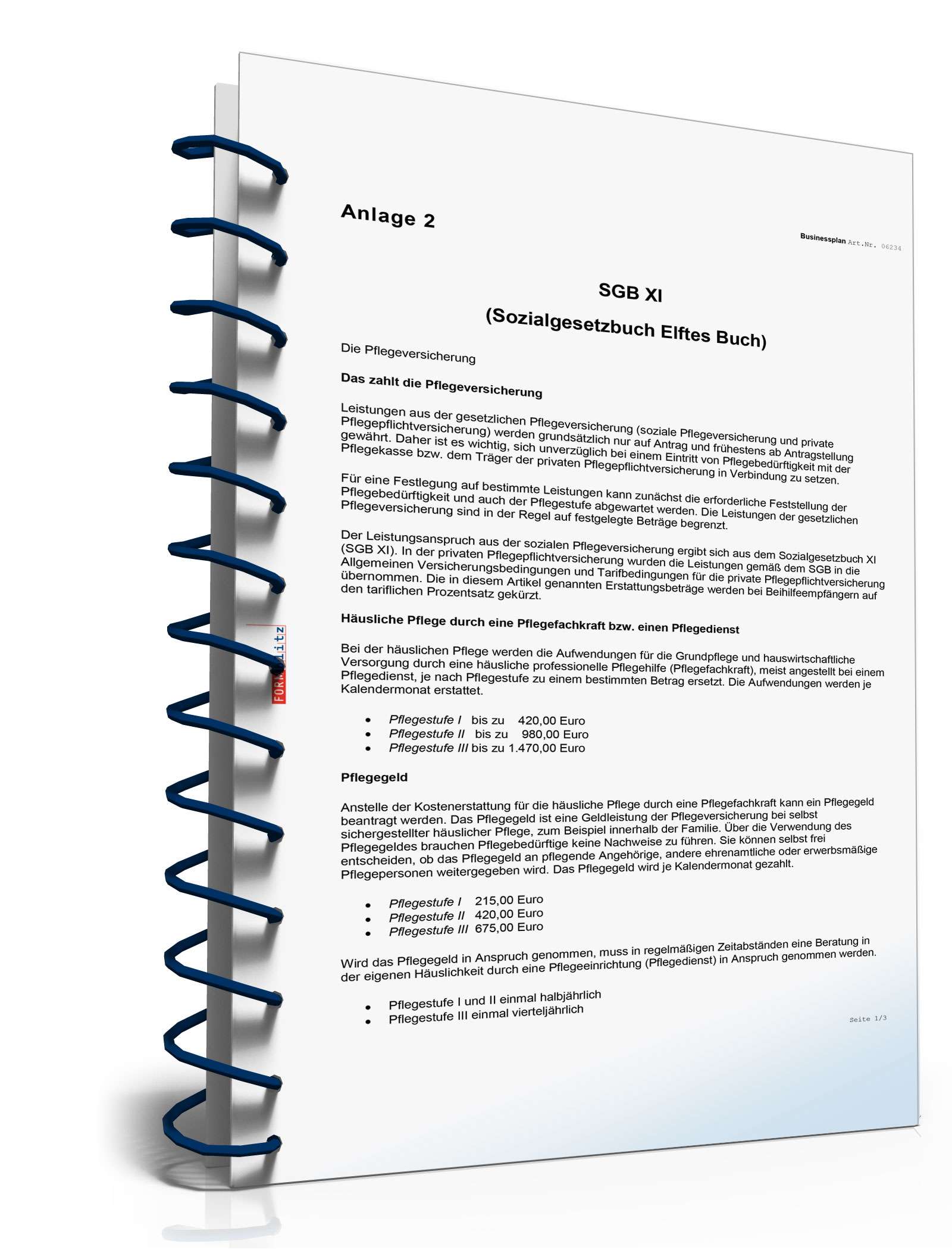 Businessplan Mobiler Pflegedienst Excel. Seite: 20