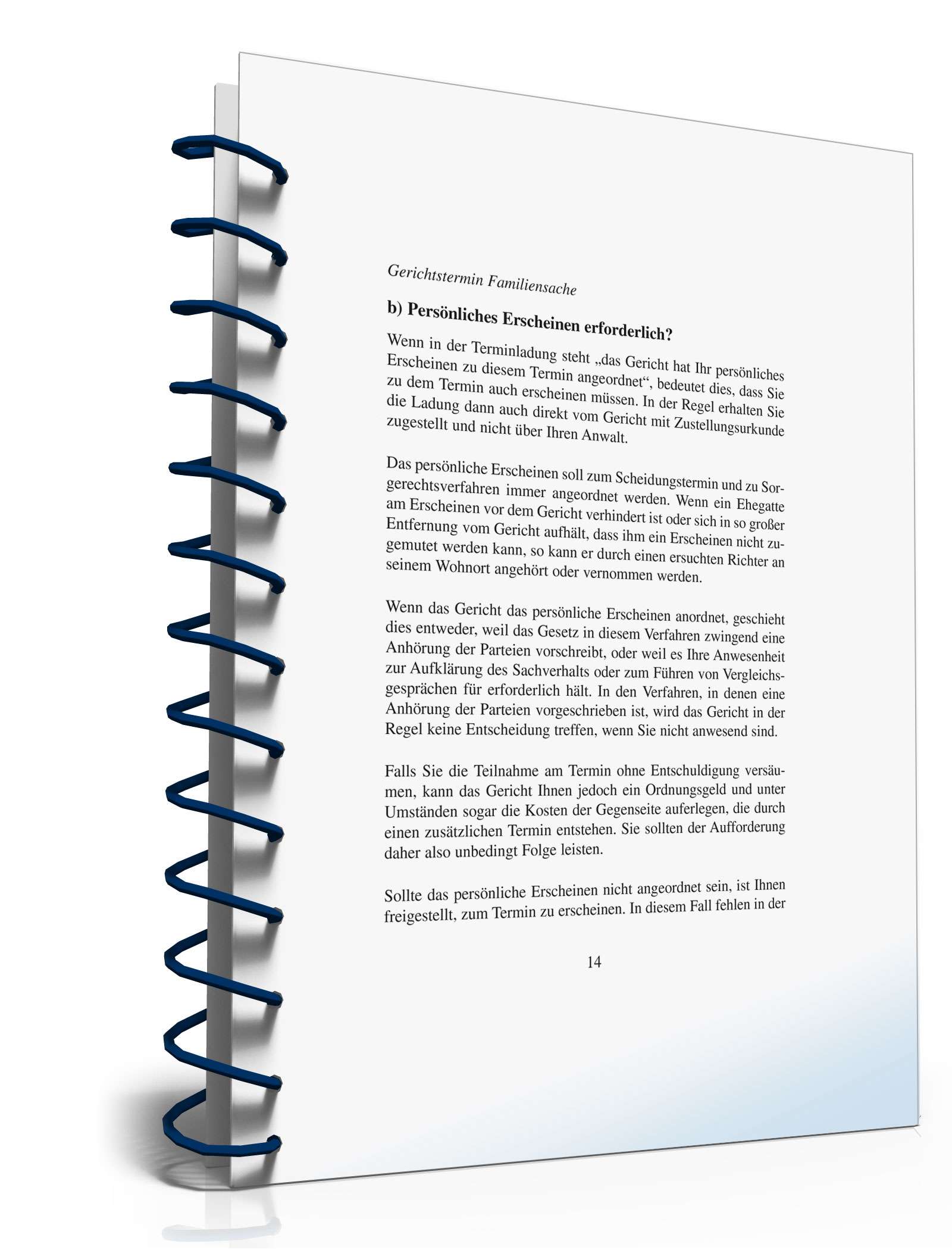 Ratgeber Gerichtstermin Familiensache PDF. Seite: 14