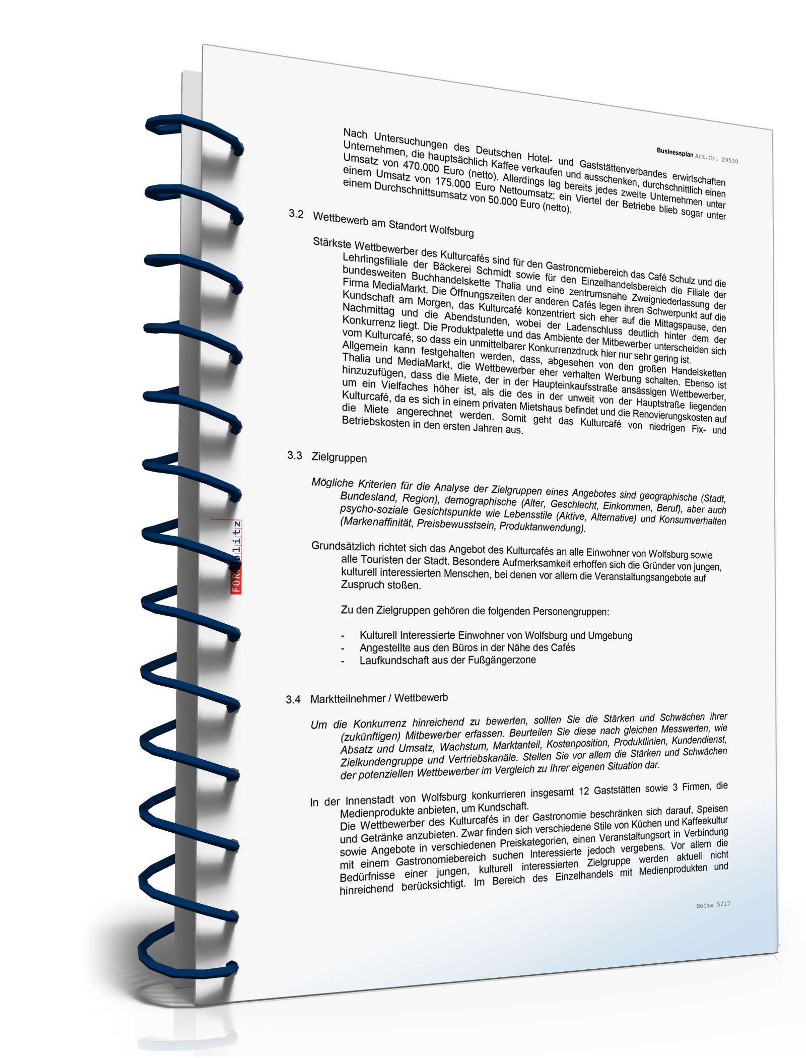 Businessplan Kulturcafé Excel. Seite: 10