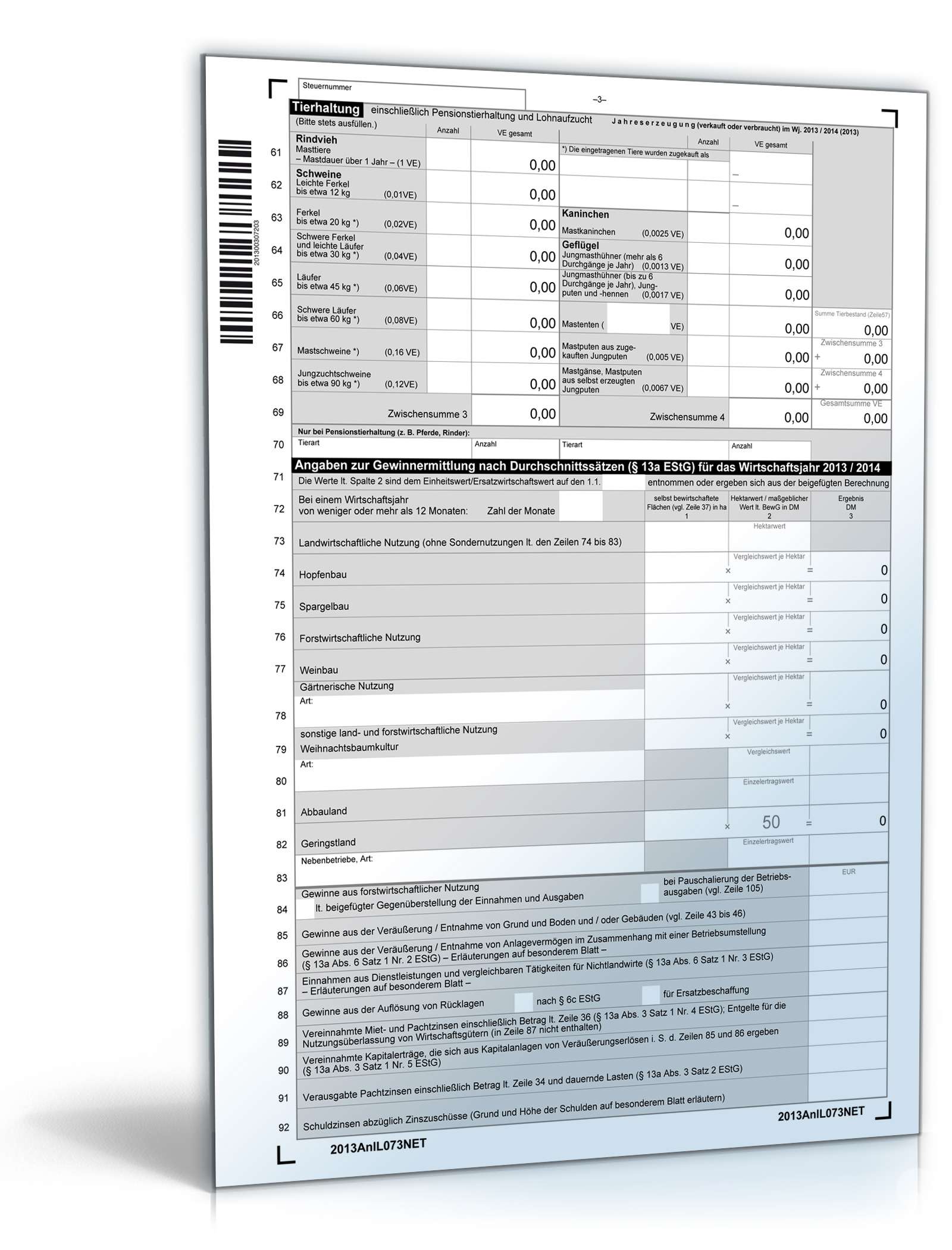 Anlage L 2013 PDF. Seite: 3