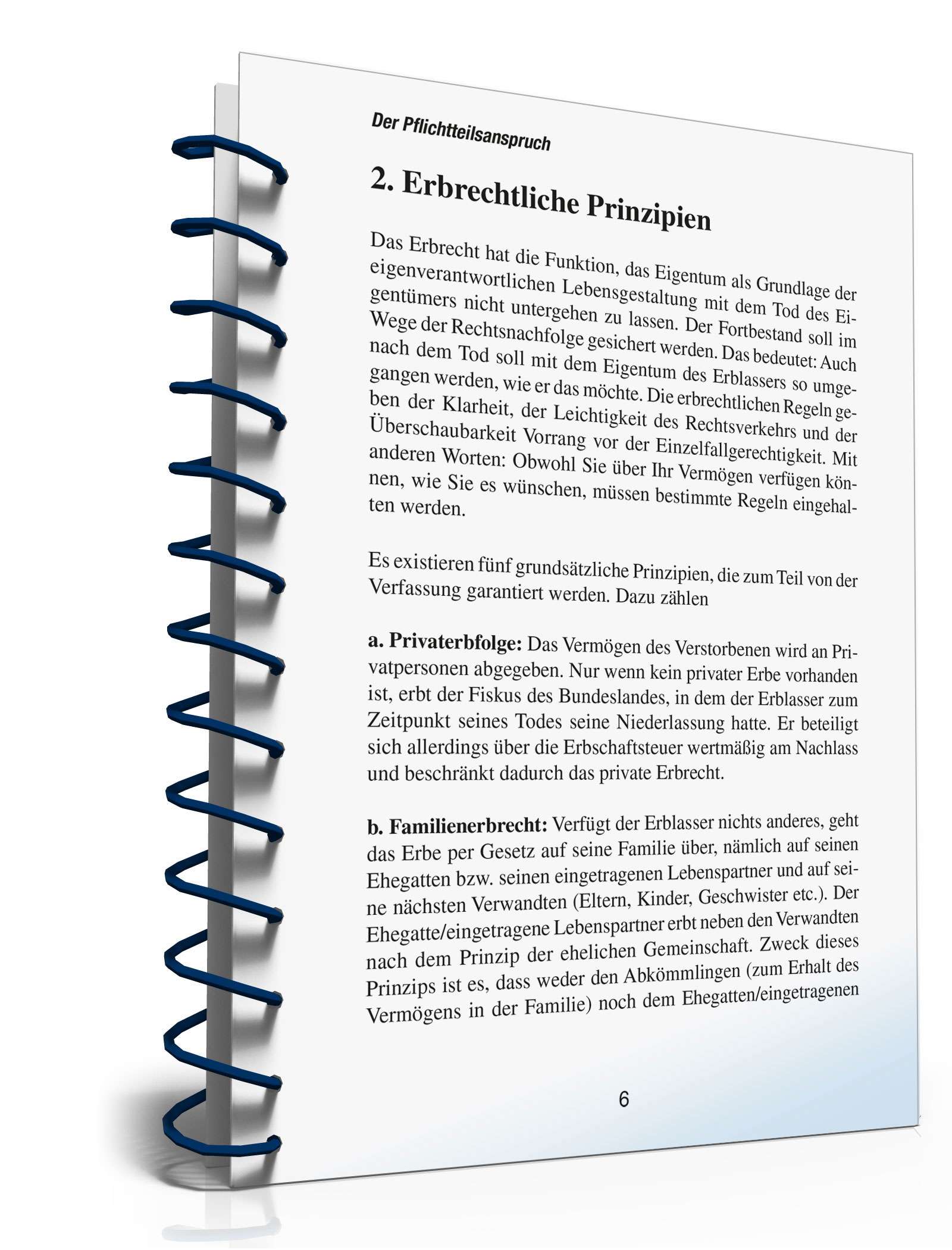 Ratgeber Pflichtteilsanspruch  PDF. Seite: 6