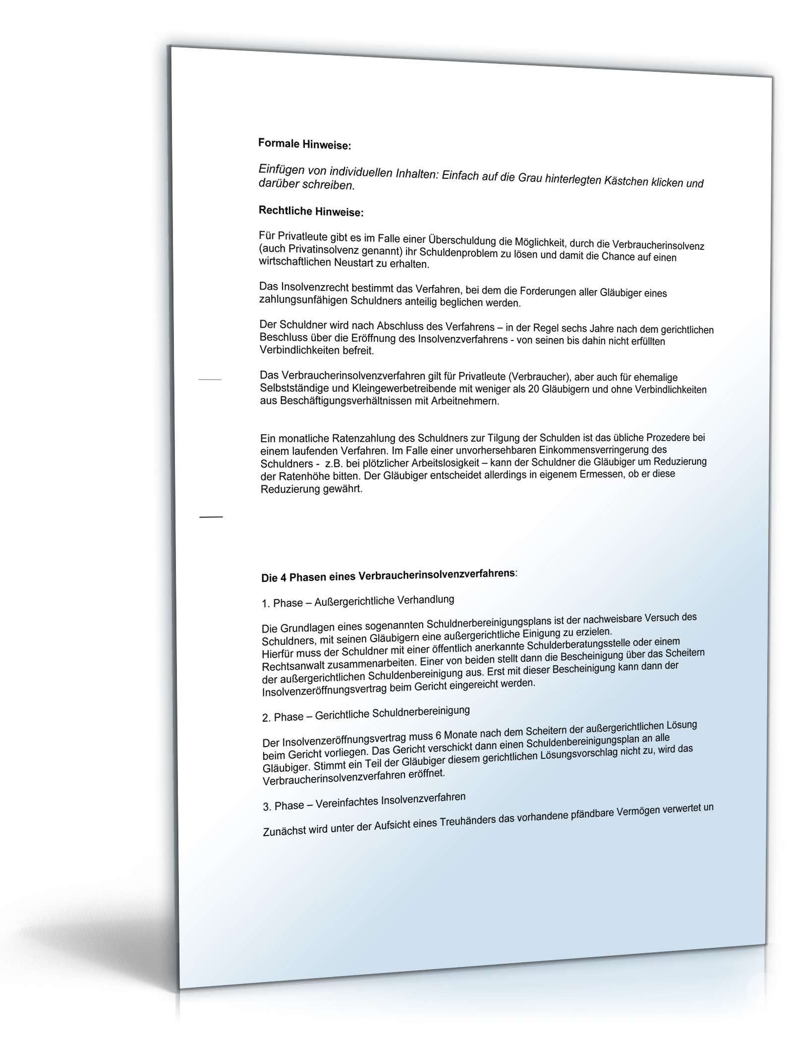Antrag auf Reduzierung der Zahlungsraten (bei Verbraucherinsolvenzverfahren) PDF. Seite: 2