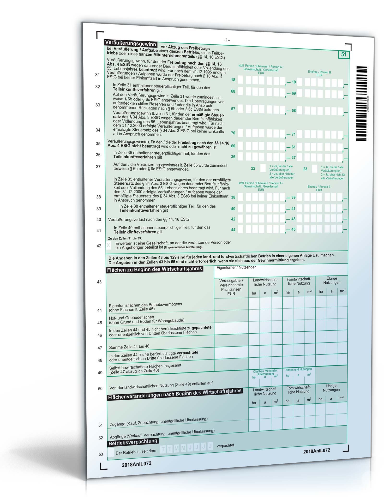 Anlage L 2018 PDF. Seite: 2