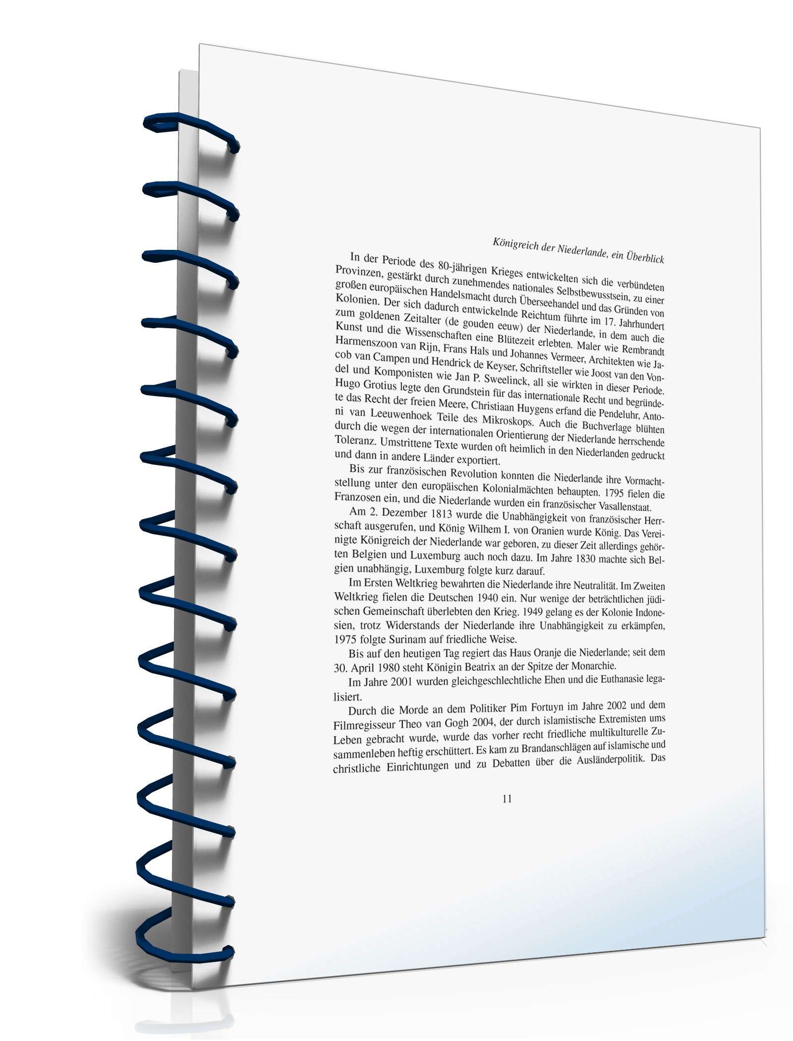 Leben und arbeiten in den Niederlanden PDF. Seite: 11