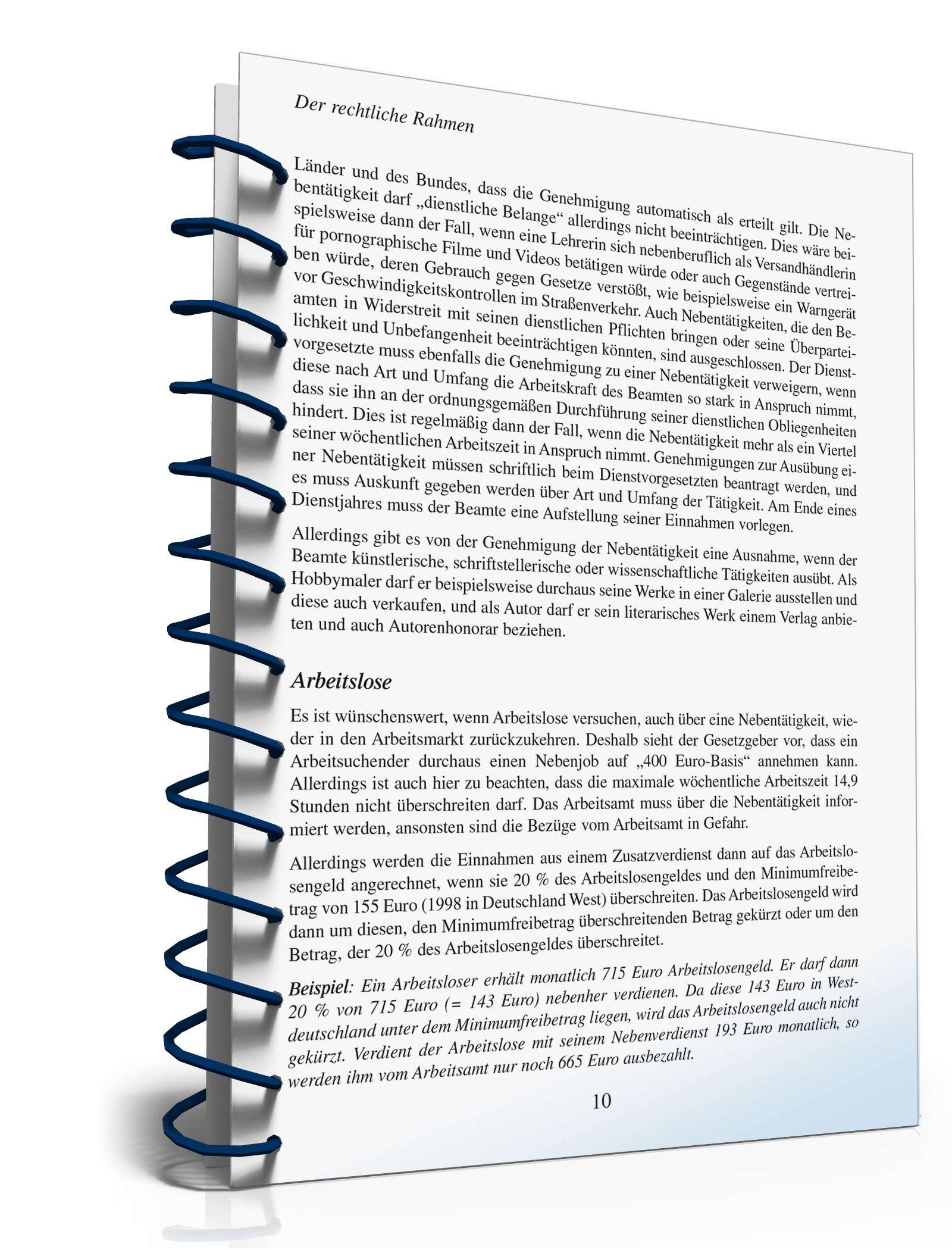 Zusatzverdienst-Ideen PDF. Seite: 11