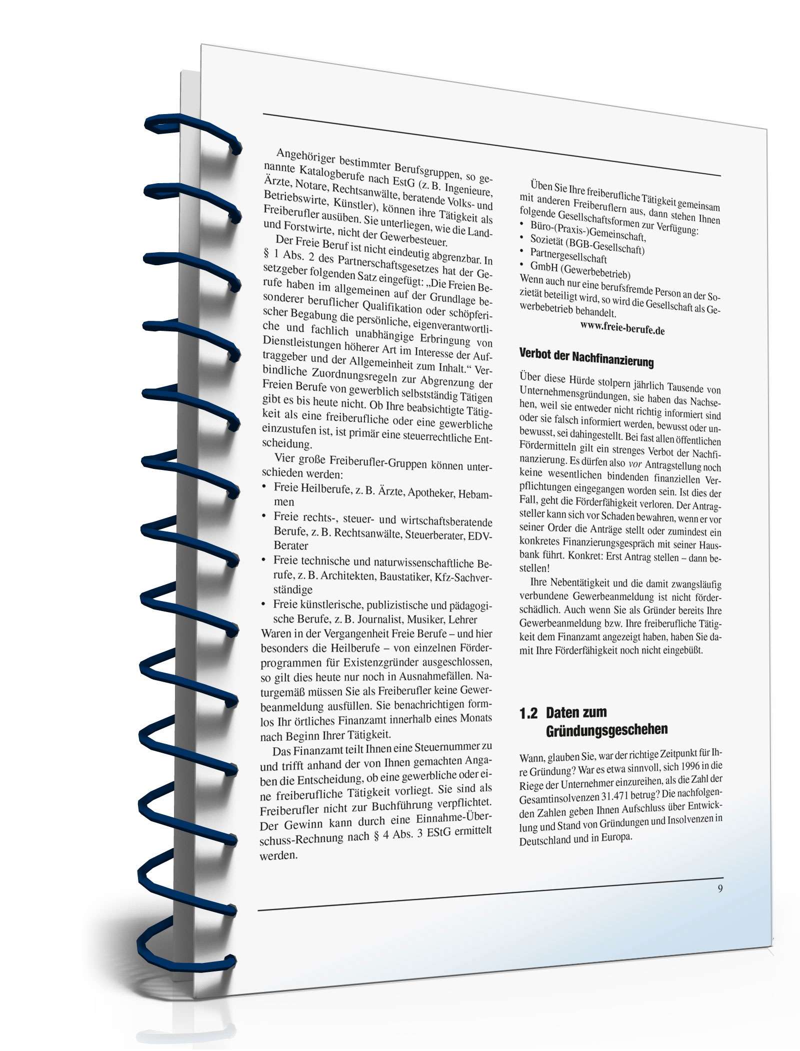 Businessplan erstellen PDF. Seite: 8