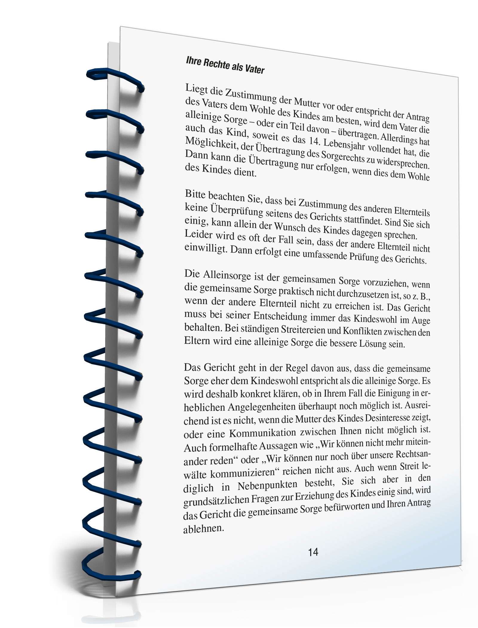 Ihre Rechte als Vater PDF. Seite: 13