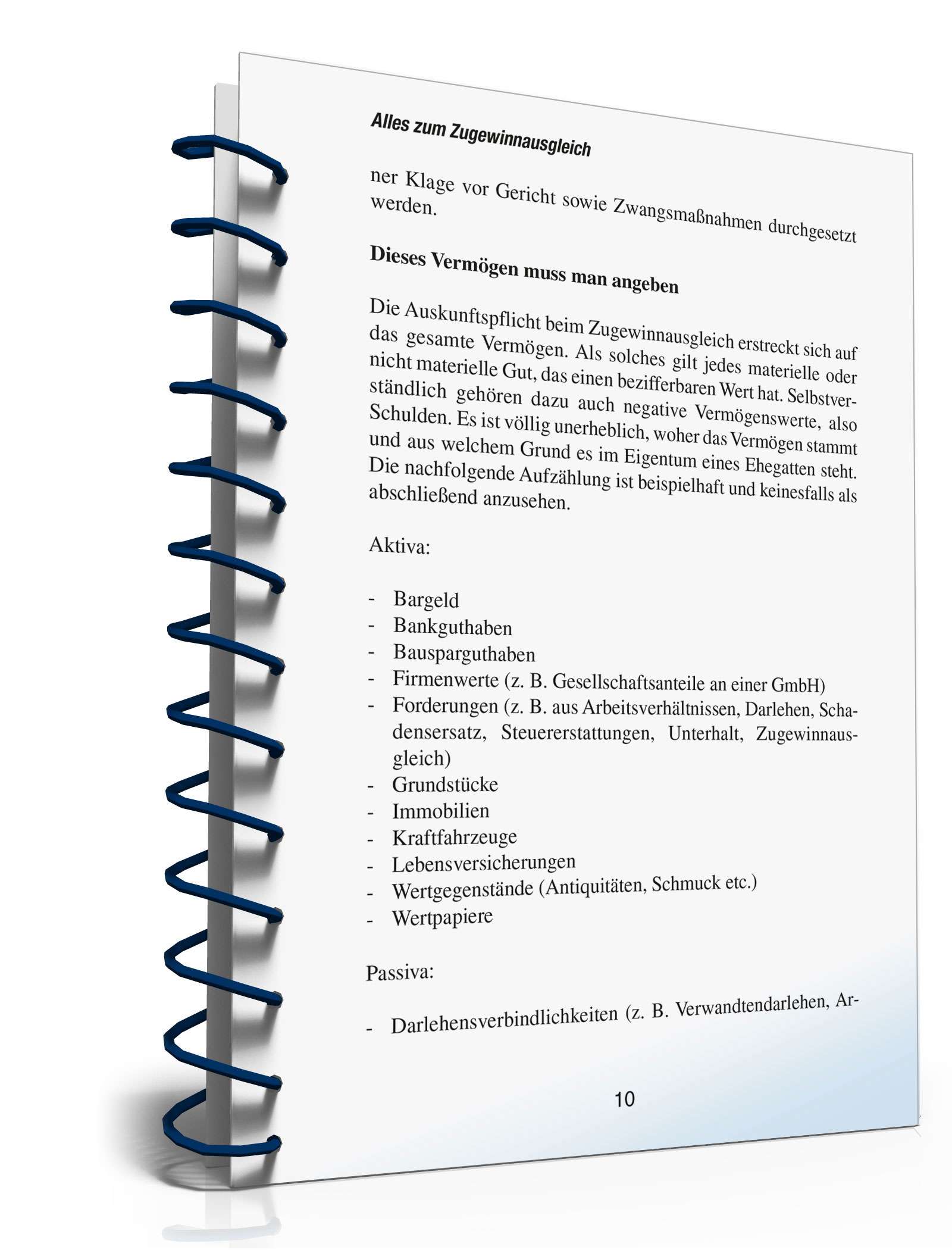 Ratgeber Eheliches Güterrecht PDF. Seite: 9