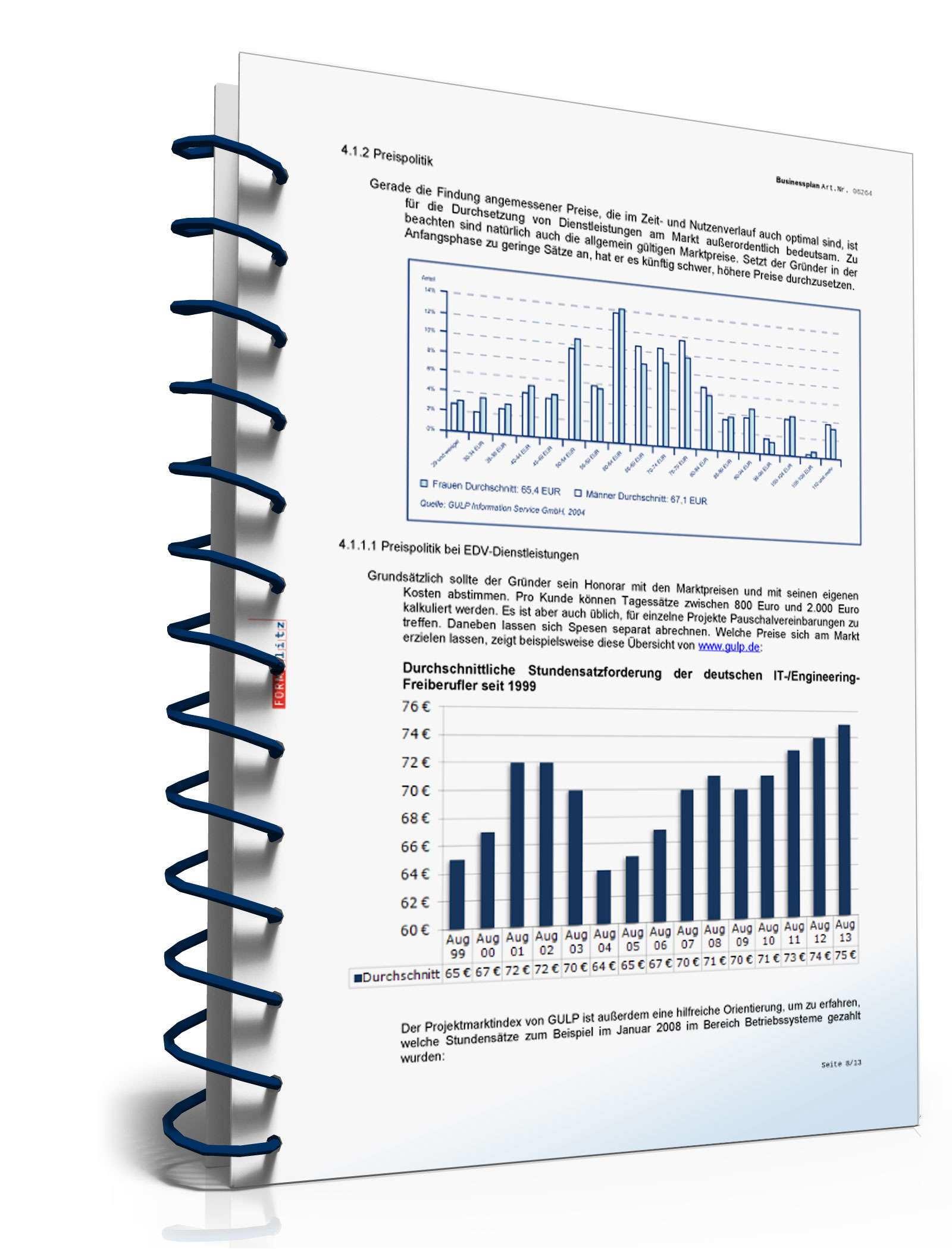 Businessplan IT-Berater Excel. Seite: 11
