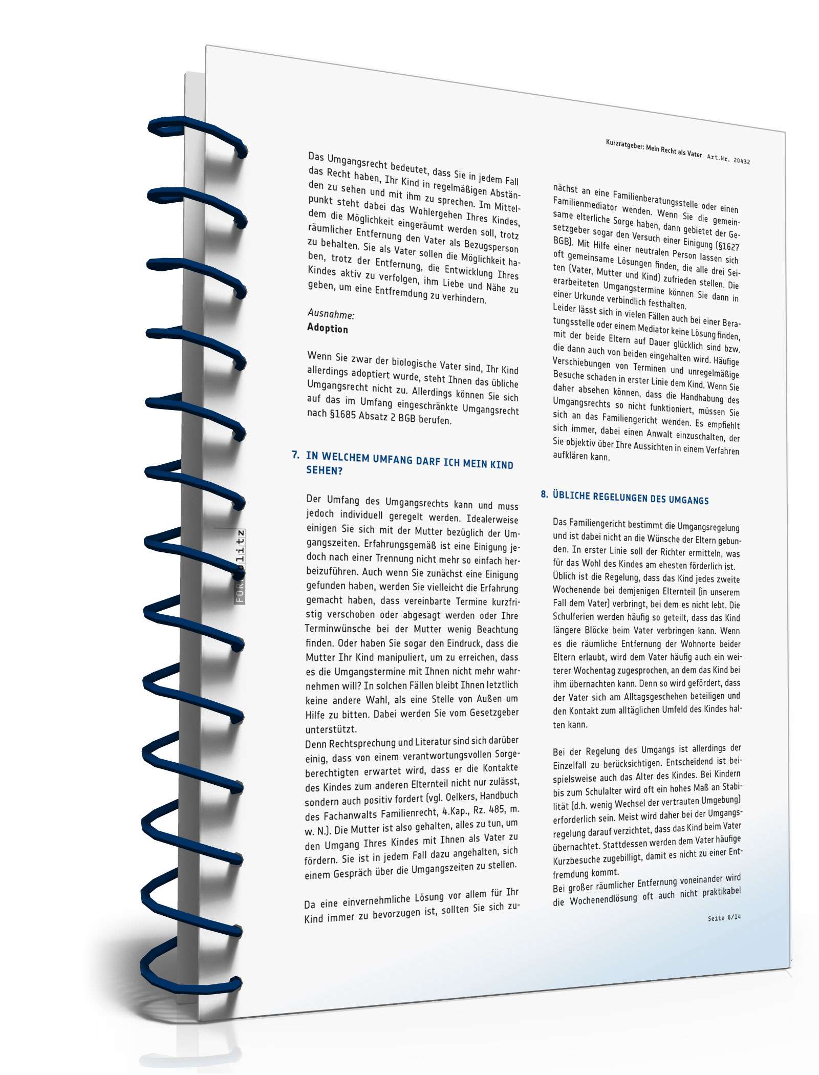 Mein Recht als Vater PDF. Seite: 6