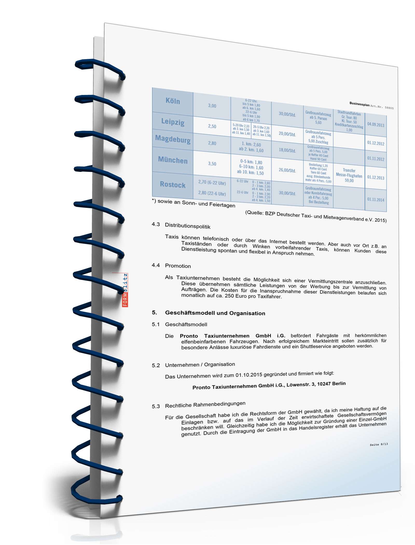Businessplan Taxi-Unternehmer Excel. Seite: 6