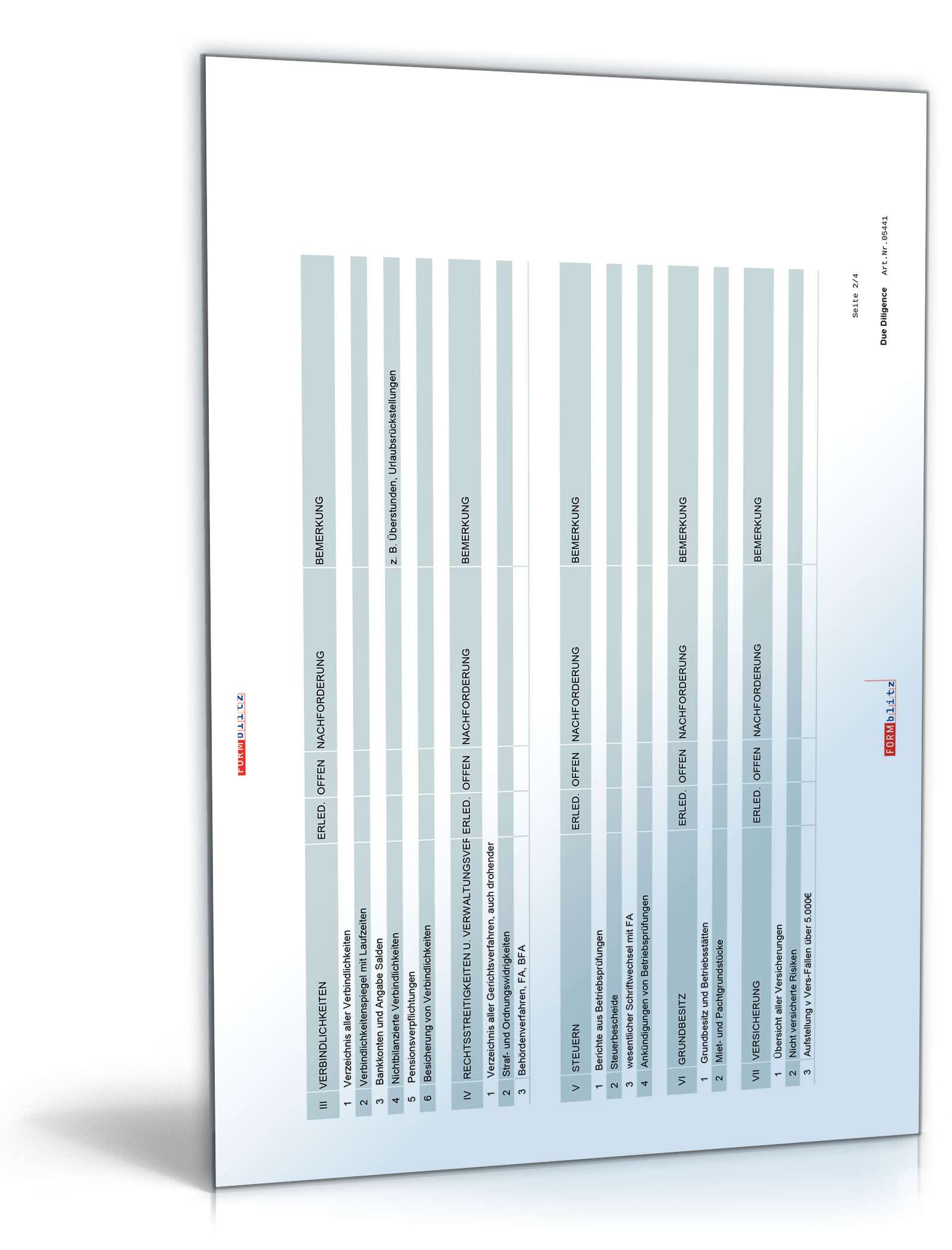 Due Diligence-Analyse Excel. Seite: 2
